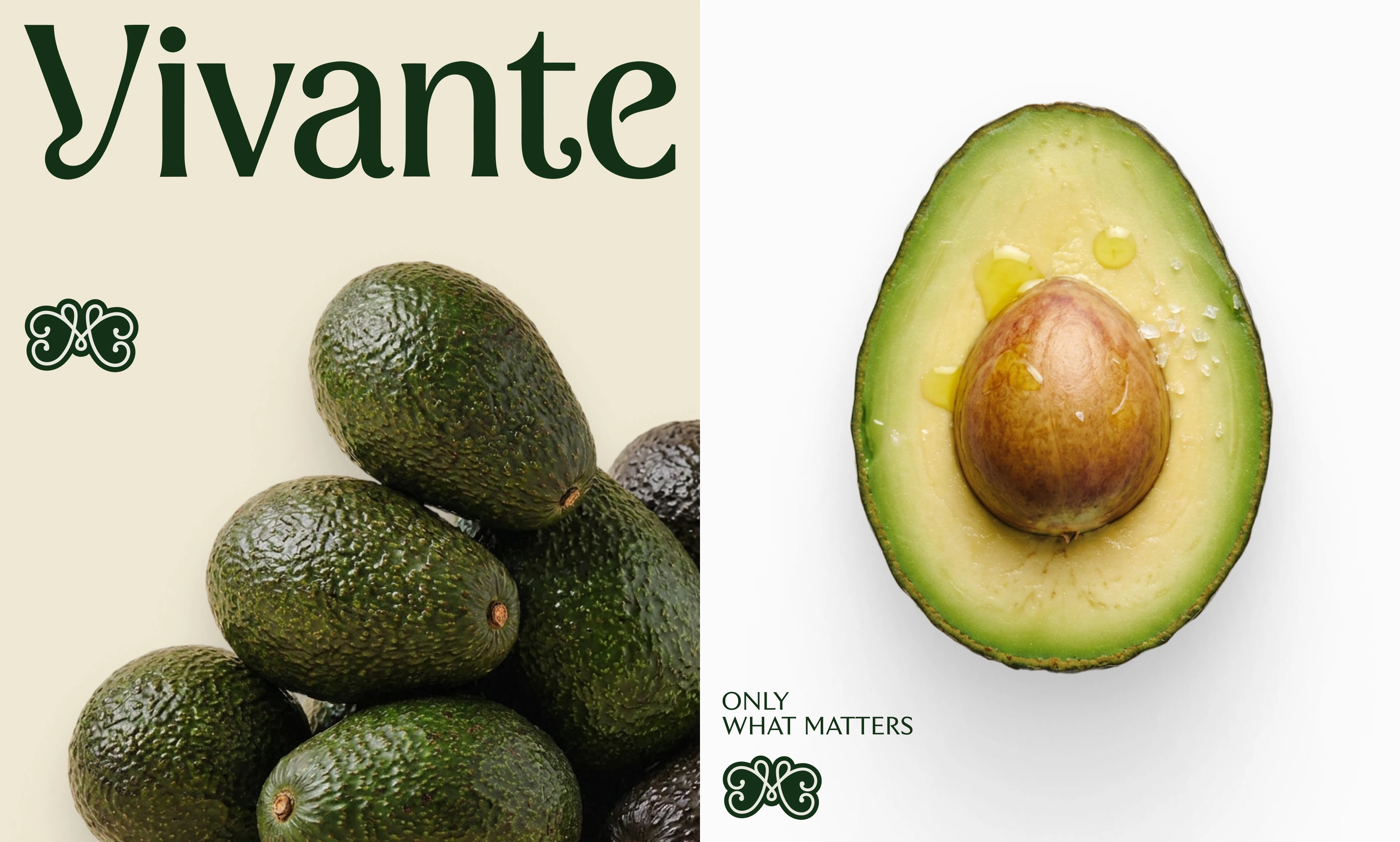 Vivante — Изображение №2 — Брендинг, Графика на Dprofile