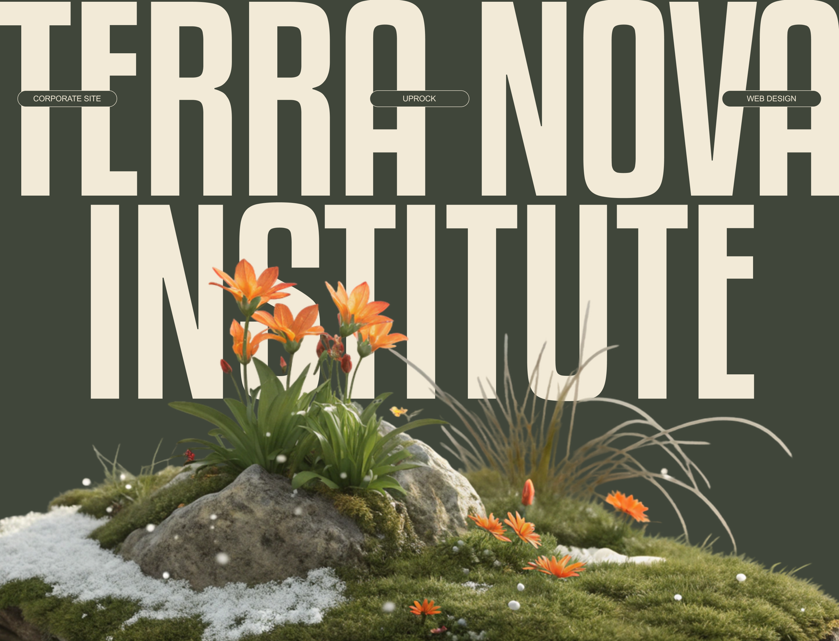 TERRA NOVA INSTITUTE | CORPORATE SITE — Изображение №1 — Интерфейсы, Анимация на Dprofile