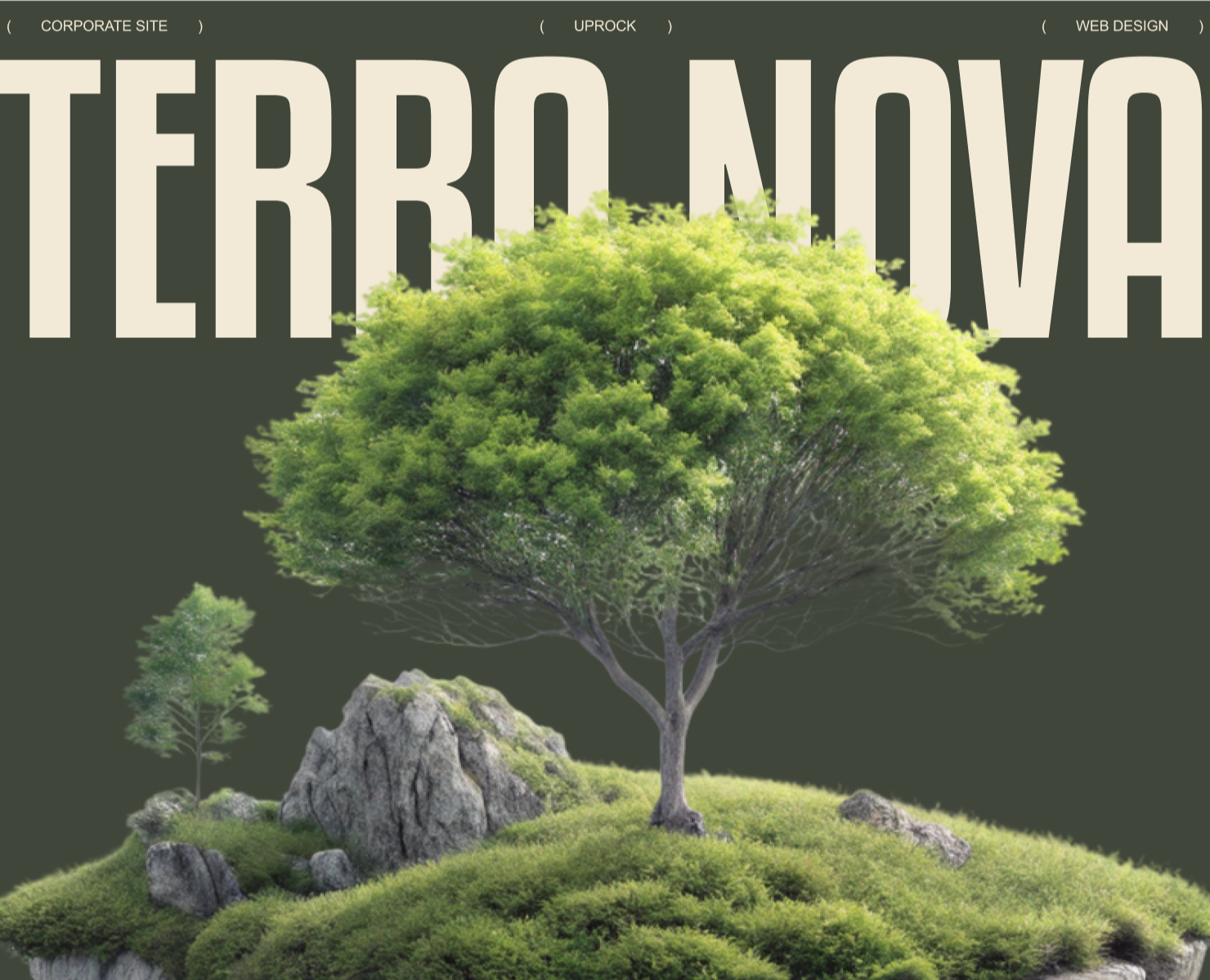 TERRA NOVA INSTITUTE | CORPORATE SITE — Интерфейсы, Анимация на Dprofile