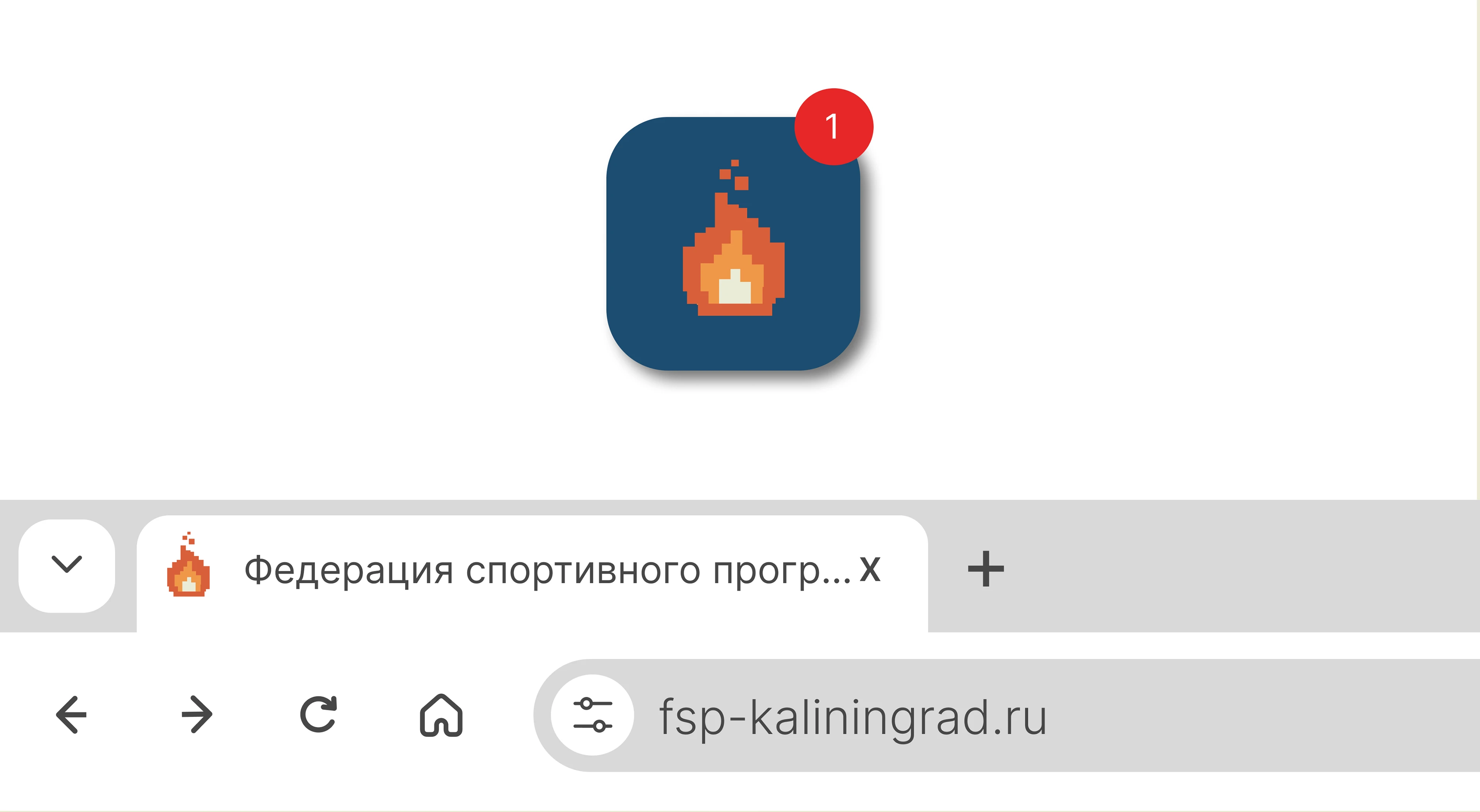 Фирменный стиль|логотип|branding для ФСП — Изображение №13 — Брендинг на Dprofile