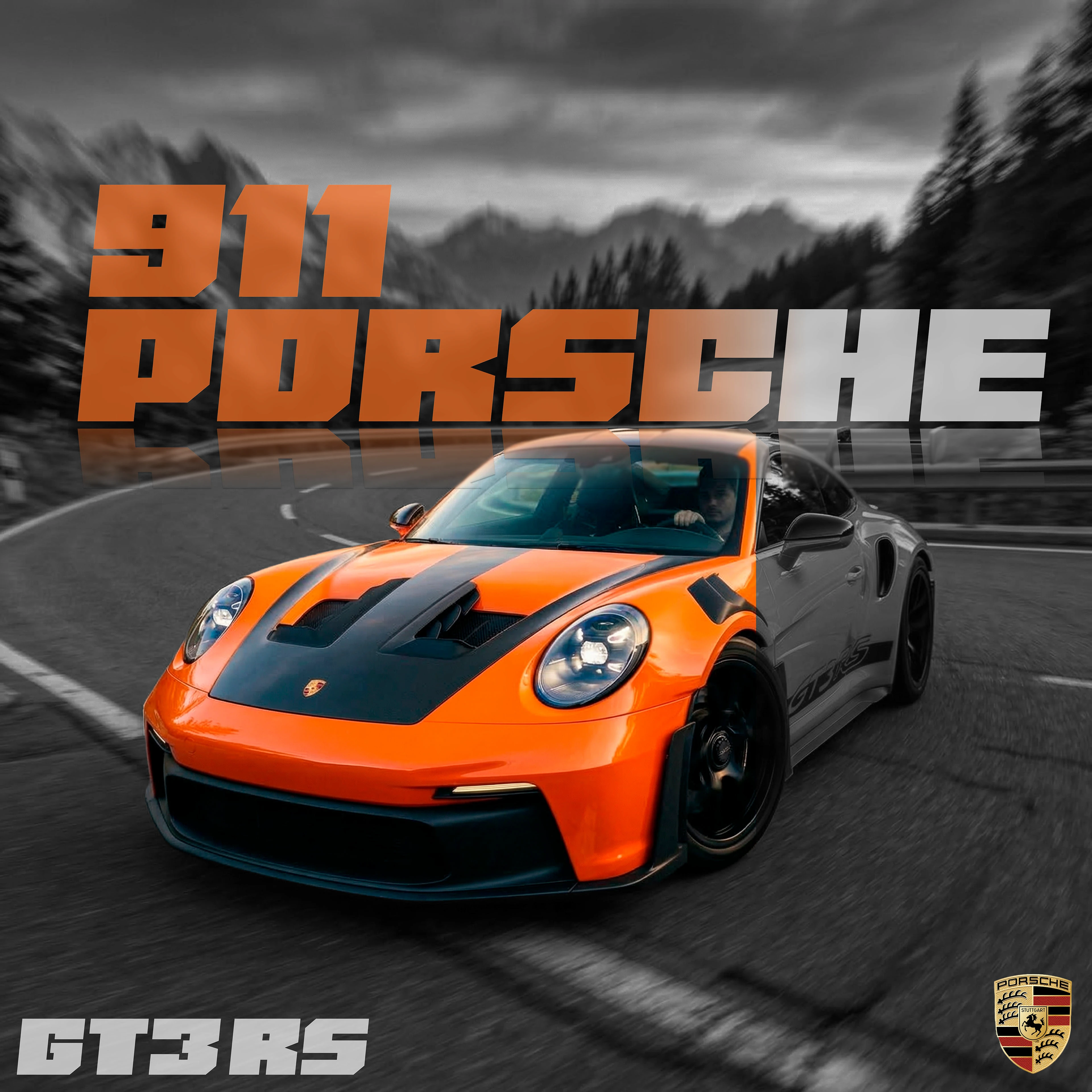GT3 Series Porsche — Изображение №3 — Брендинг, Графика на Dprofile