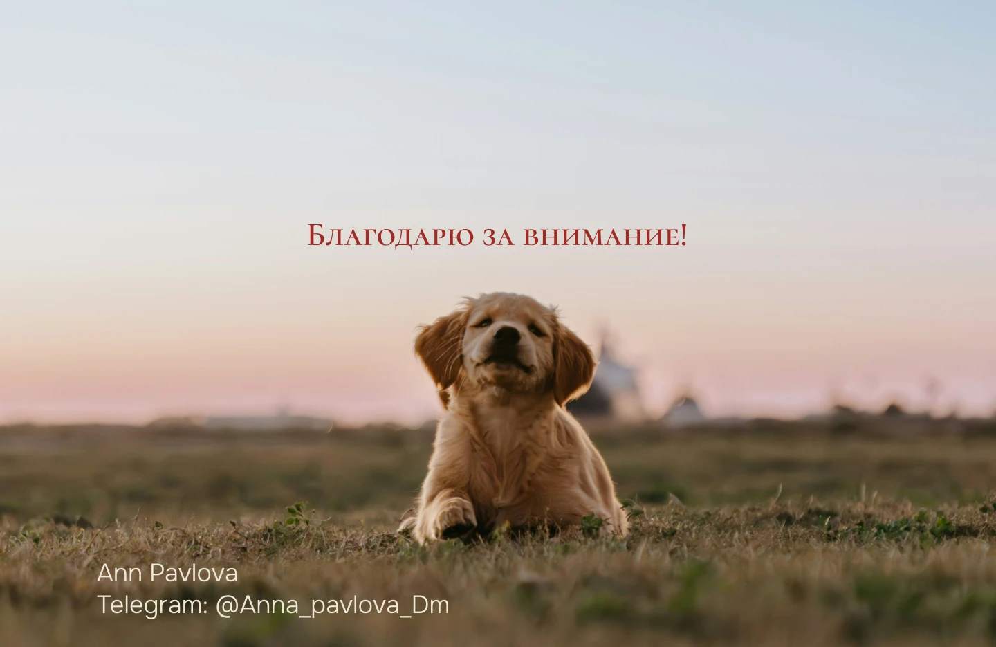 Брендбук Army Yamy — Изображение №19 — Брендинг на Dprofile