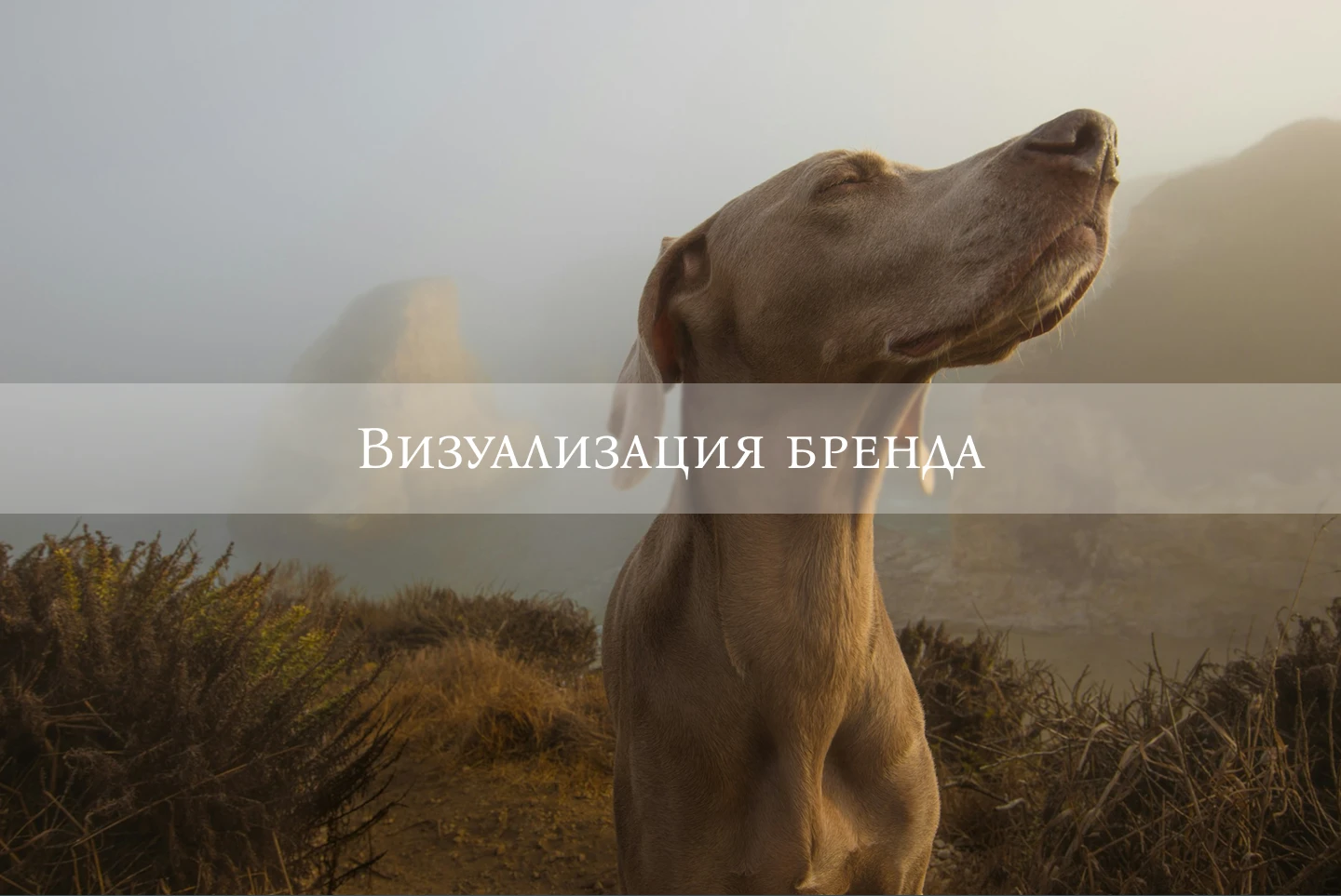 Брендбук Army Yamy — Изображение №15 — Брендинг на Dprofile