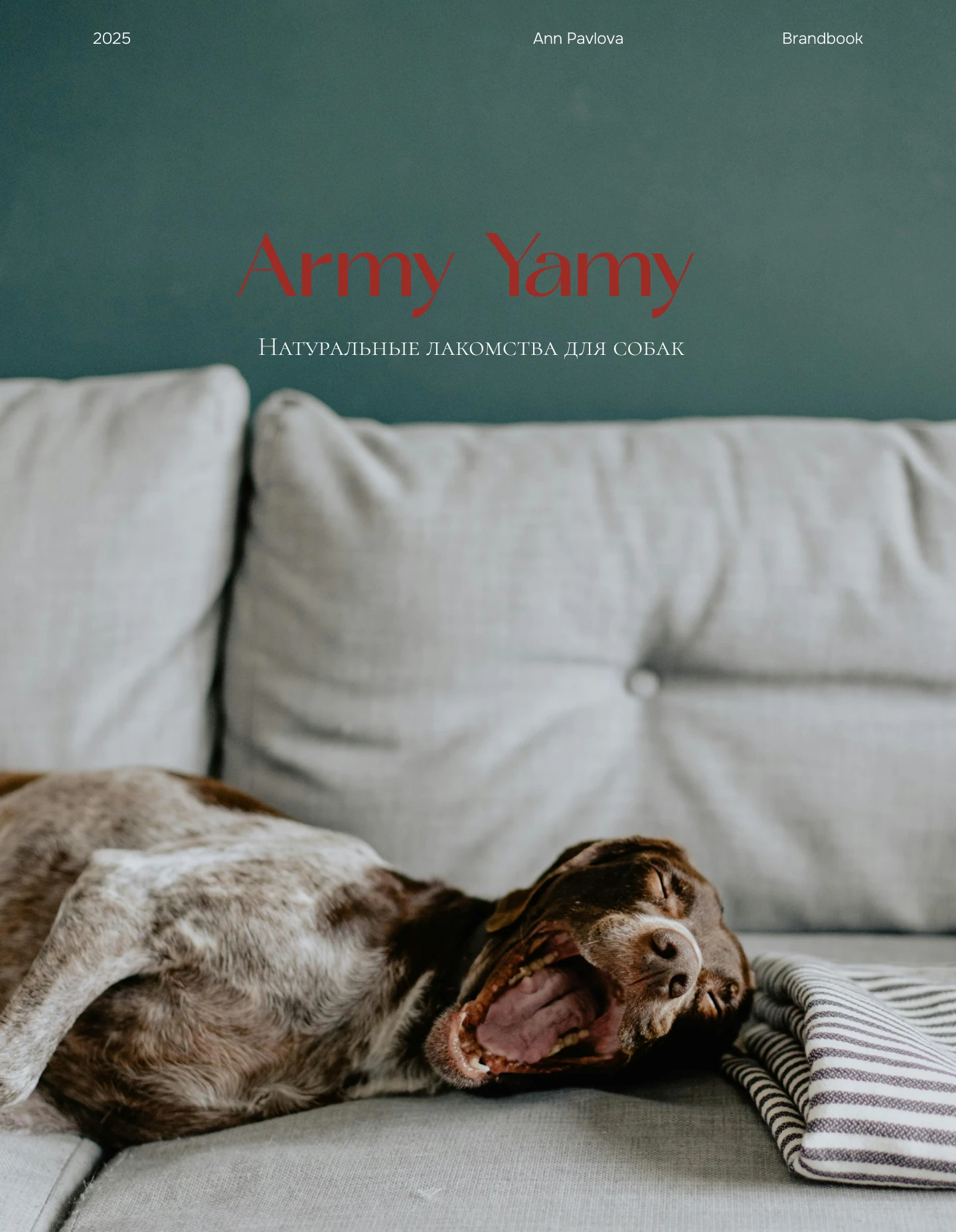 Брендбук Army Yamy — Изображение №1 — Брендинг на Dprofile