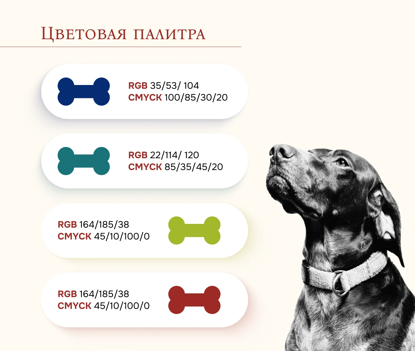 Брендбук Army Yamy — Изображение №13 — Брендинг на Dprofile