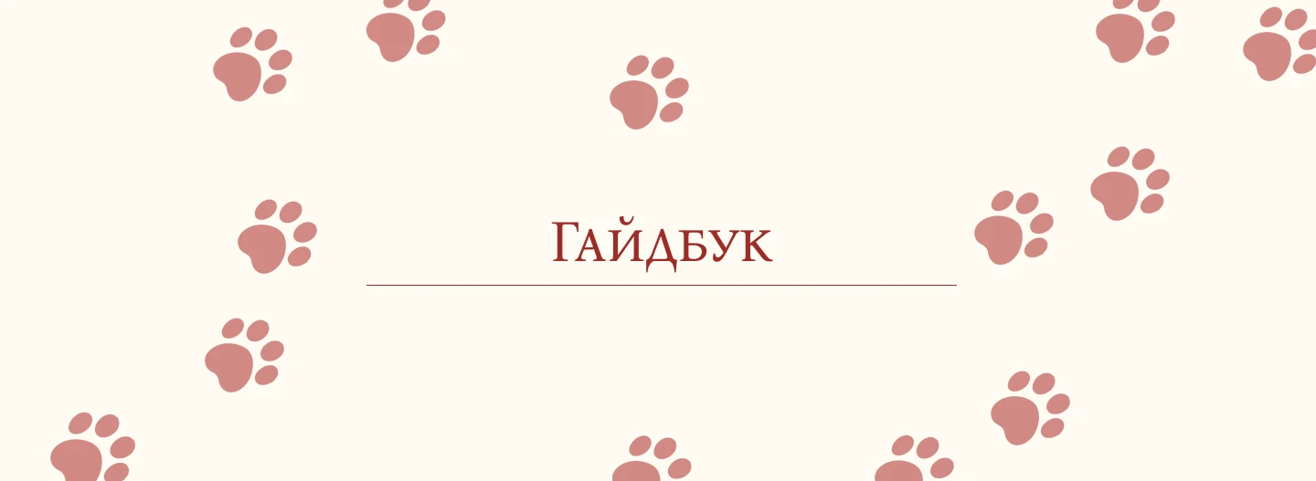 Брендбук Army Yamy — Изображение №6 — Брендинг на Dprofile