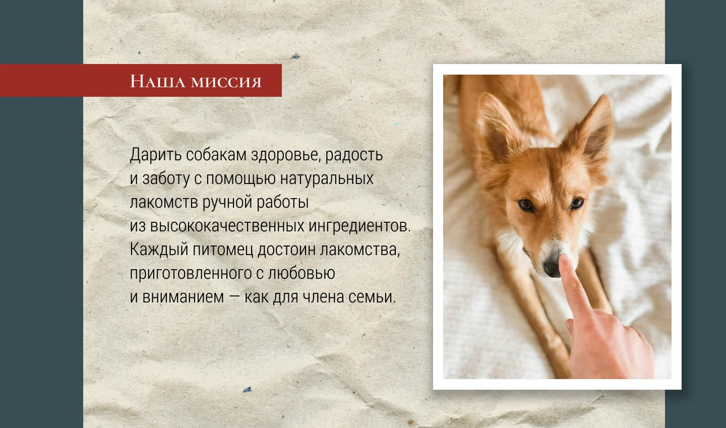 Брендбук Army Yamy — Изображение №3 — Брендинг на Dprofile