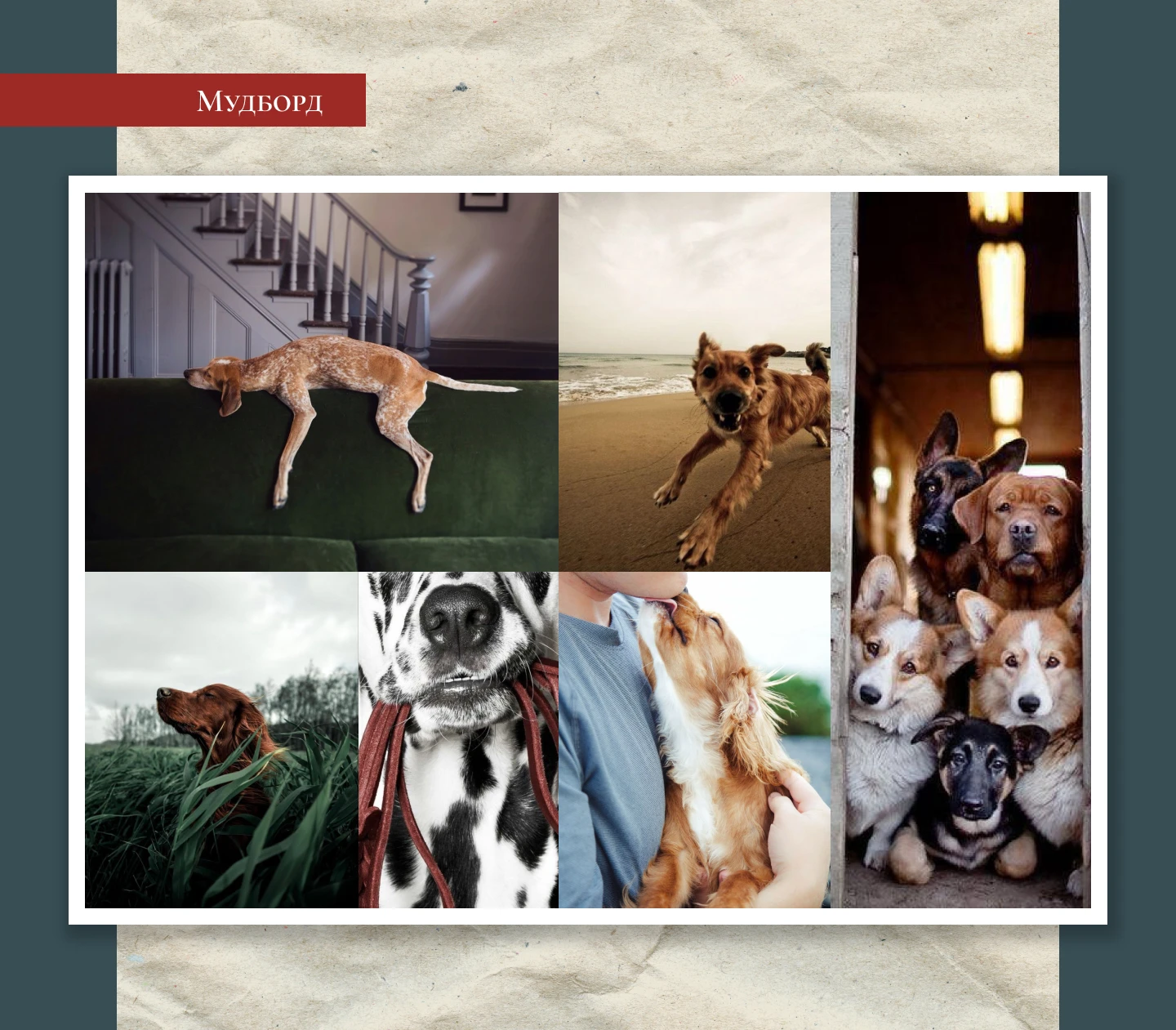 Брендбук Army Yamy — Изображение №14 — Брендинг на Dprofile