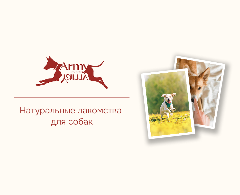 Брендбук Army Yamy на Dprofile