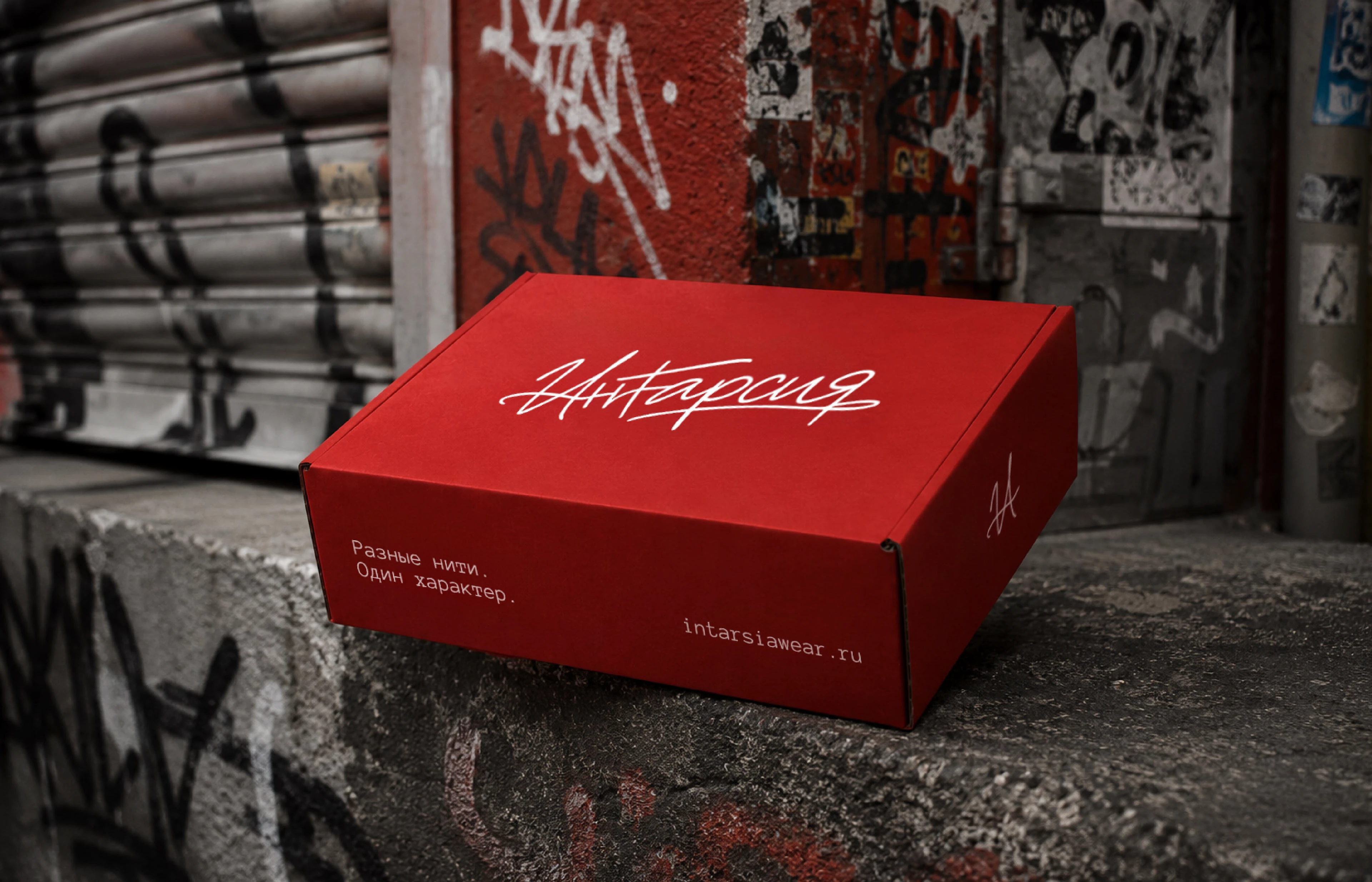 ИНТАРСИЯ | Фирменный стиль streetwear бренда — Изображение №2 — Брендинг, Графика на Dprofile