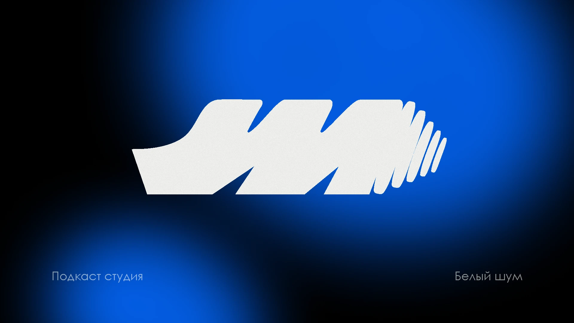 Подкаст студия "Белый шум" — Изображение №1 — Брендинг на Dprofile