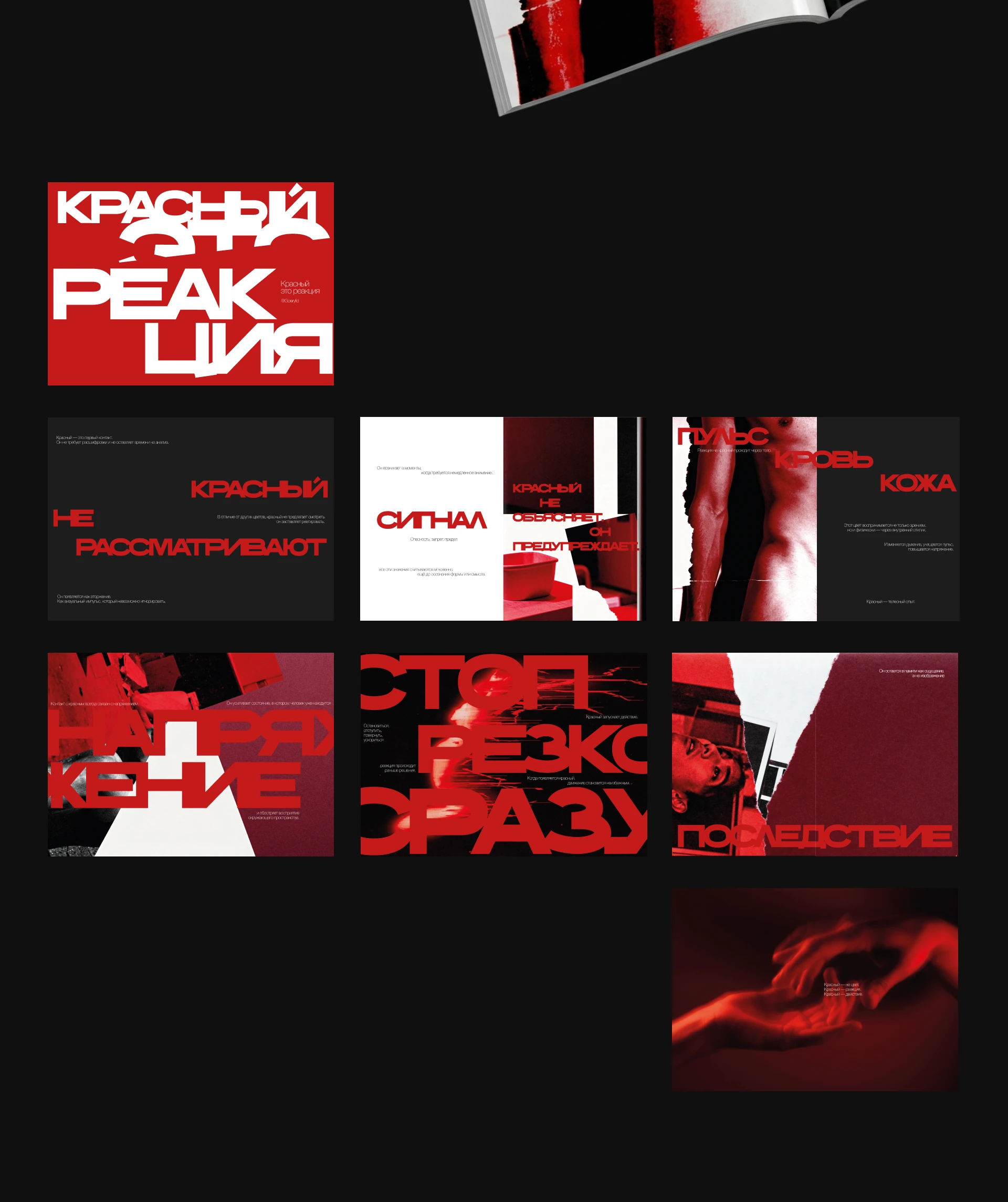 ЗИН "КРАСНЫЙ ЭТО РЕАКЦИЯ" — Изображение №3 — Графика на Dprofile