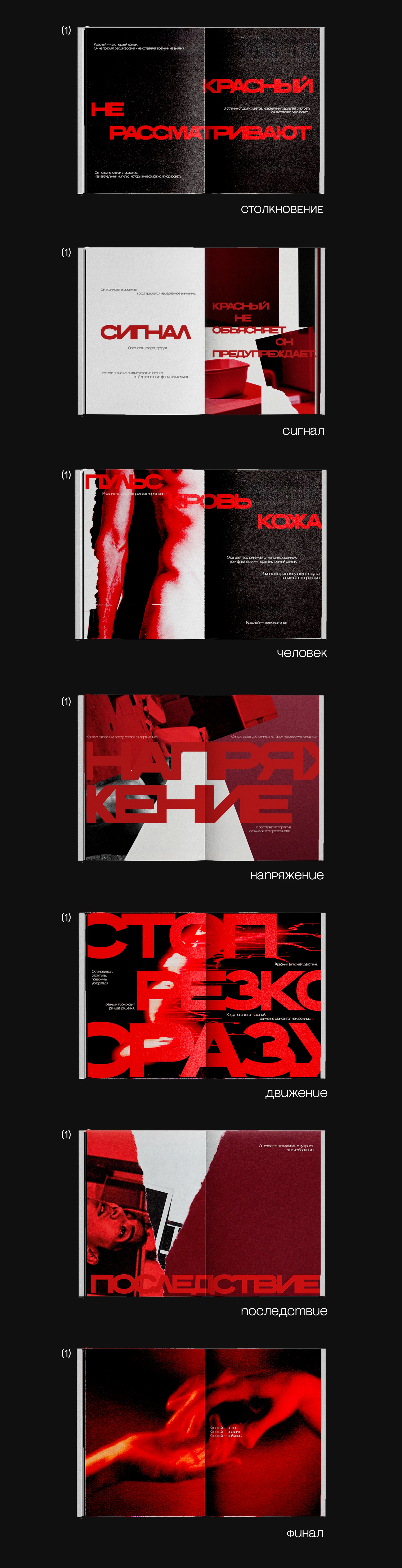 ЗИН "КРАСНЫЙ ЭТО РЕАКЦИЯ" — Изображение №4 — Графика на Dprofile