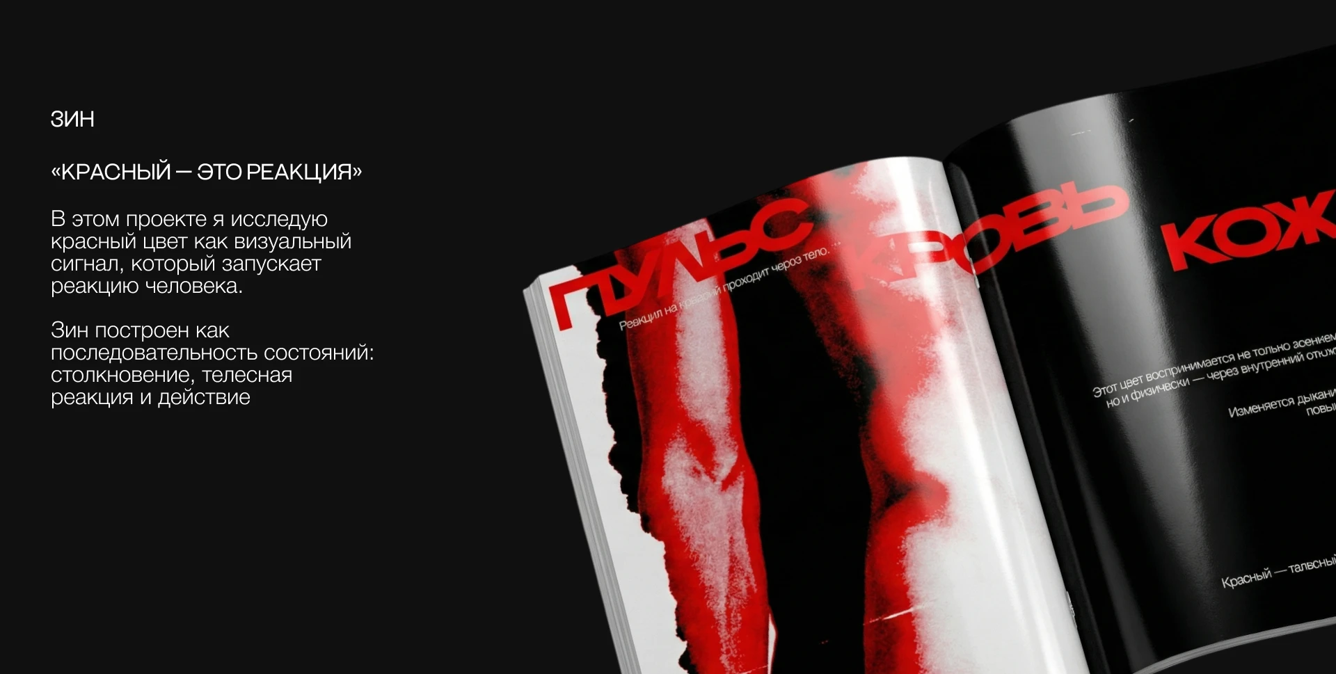 ЗИН "КРАСНЫЙ ЭТО РЕАКЦИЯ" — Изображение №2 — Графика на Dprofile