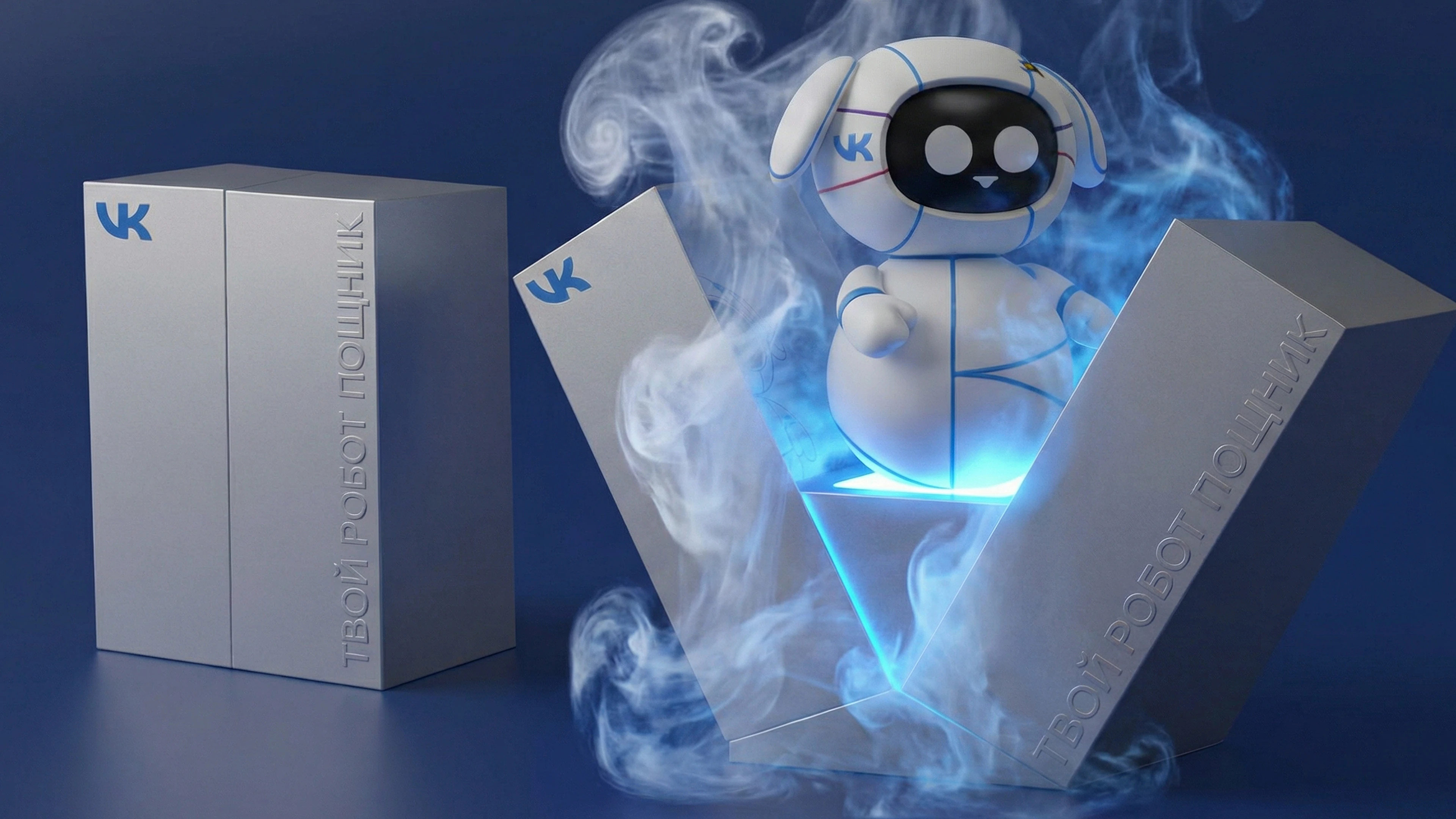 VK COMPANION — Изображение №12 — Брендинг, Иллюстрация на Dprofile