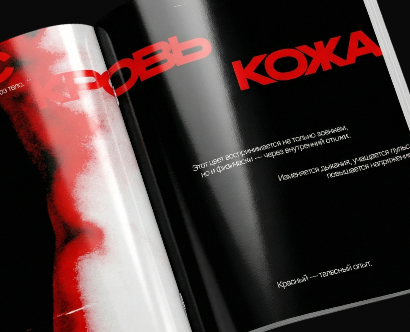 ЗИН "КРАСНЫЙ ЭТО РЕАКЦИЯ" — Графика на Dprofile