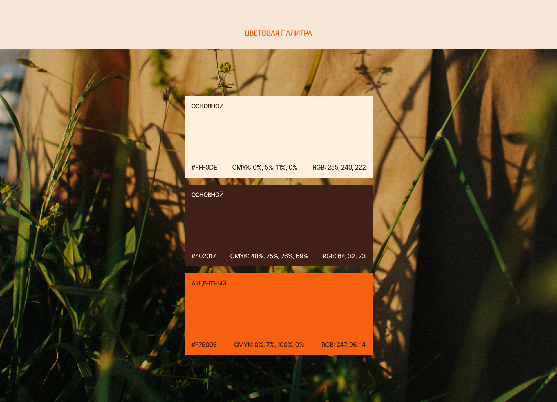 Закатный Бранч — brand design&web design — Изображение №7 — Брендинг на Dprofile