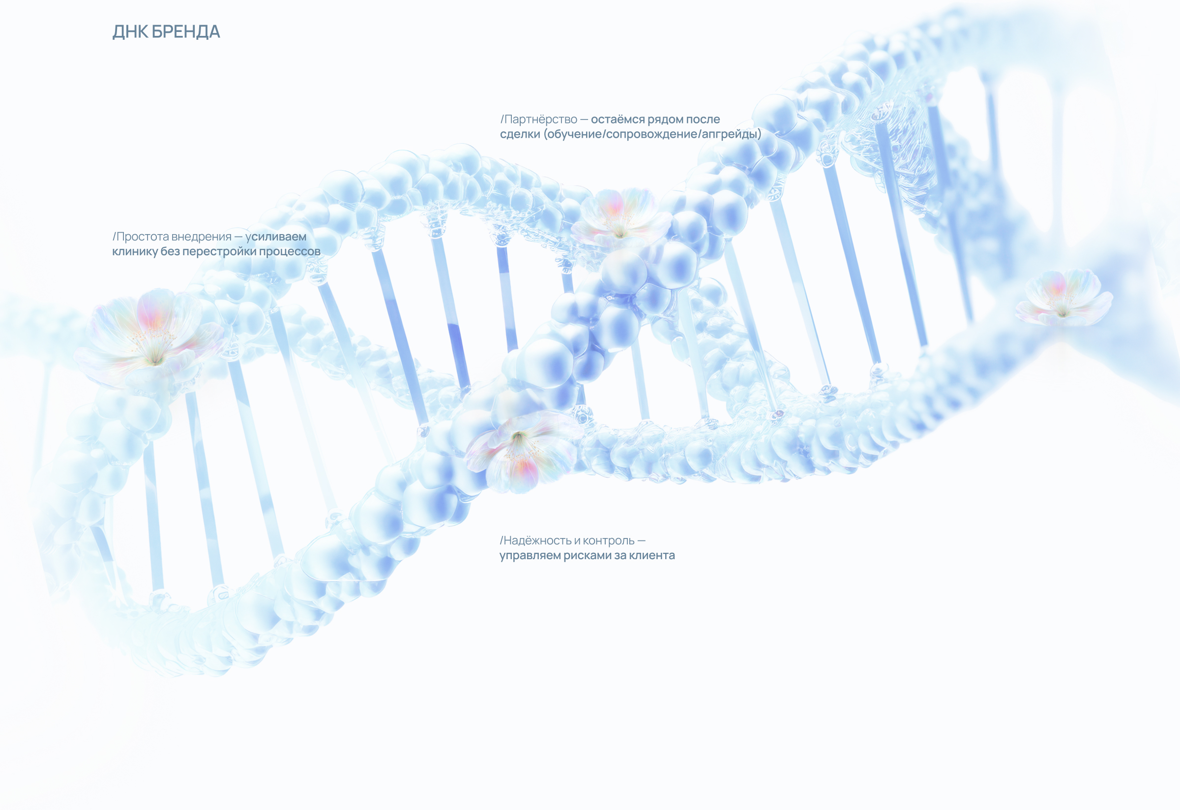 Презентация | PRO-AGE — Изображение №6 — Графика, Маркетинг на Dprofile