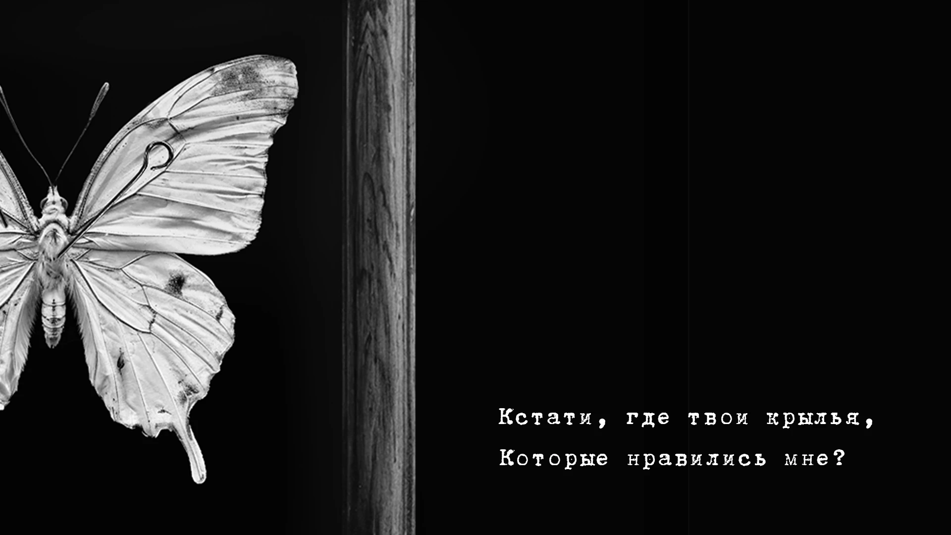 Наутилус Помпилиус. Крылья | Дизайн упаковки — Изображение №6 — Брендинг, Промдизайн на Dprofile