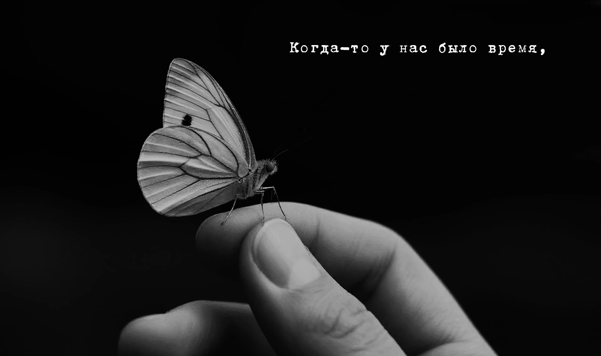 Наутилус Помпилиус. Крылья | Дизайн упаковки — Изображение №2 — Брендинг, Промдизайн на Dprofile