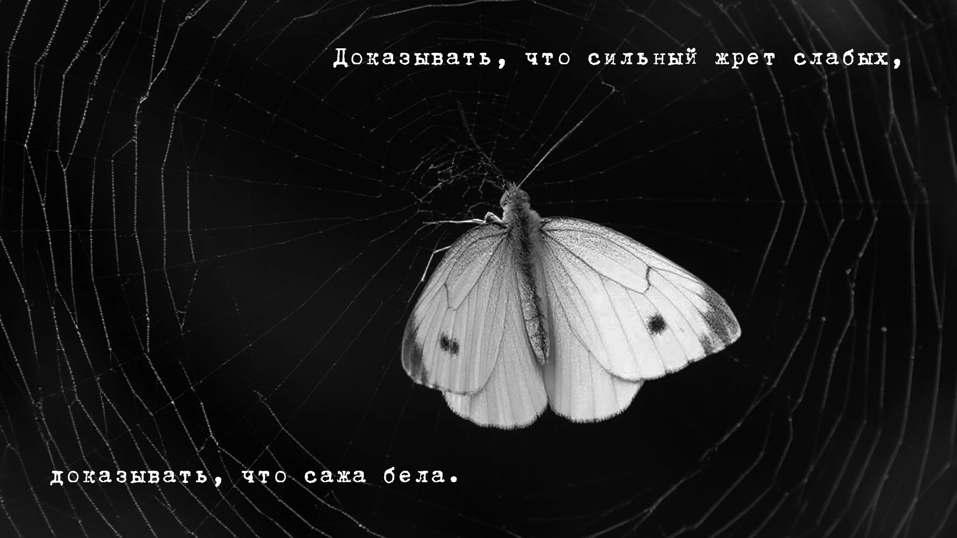 Наутилус Помпилиус. Крылья | Дизайн упаковки — Изображение №4 — Брендинг, Промдизайн на Dprofile