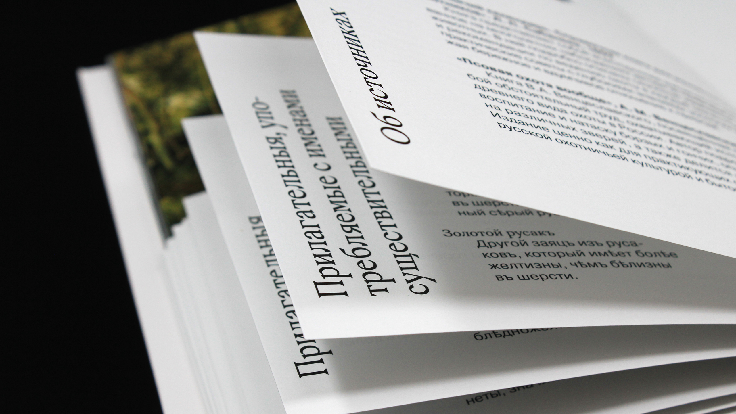 Календарь псовой охоты — Изображение №7 — Графика на Dprofile