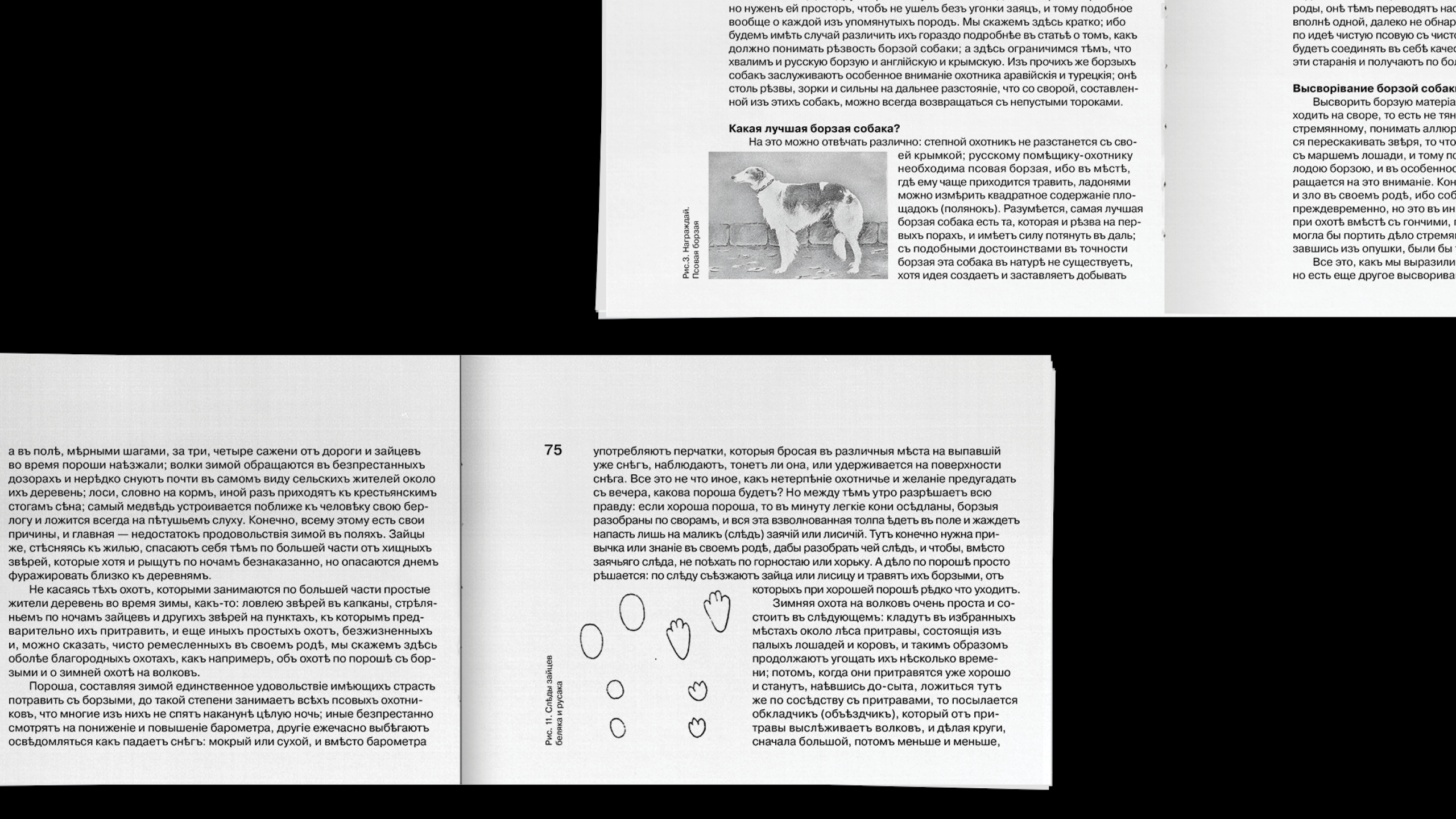 Календарь псовой охоты — Изображение №4 — Графика на Dprofile