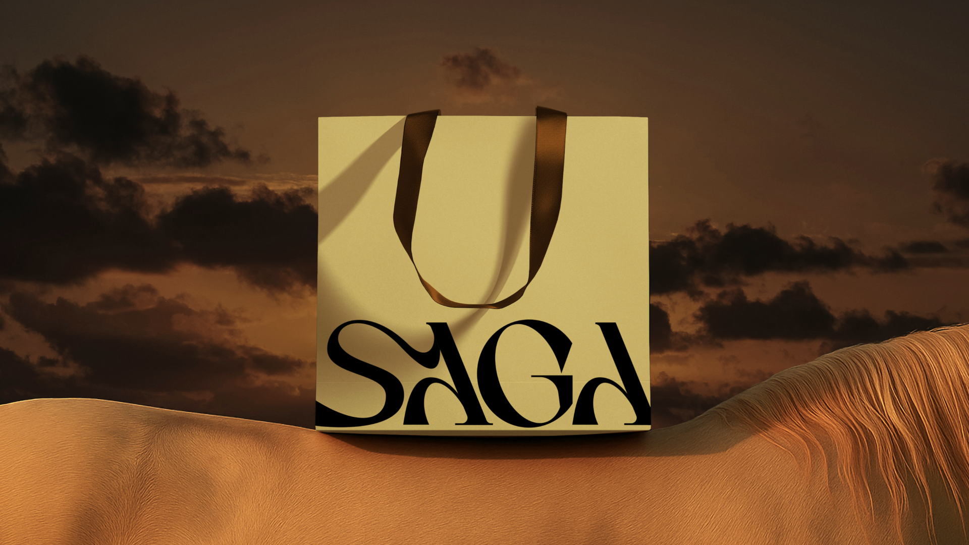 SAGA — Изображение №12 — Брендинг на Dprofile