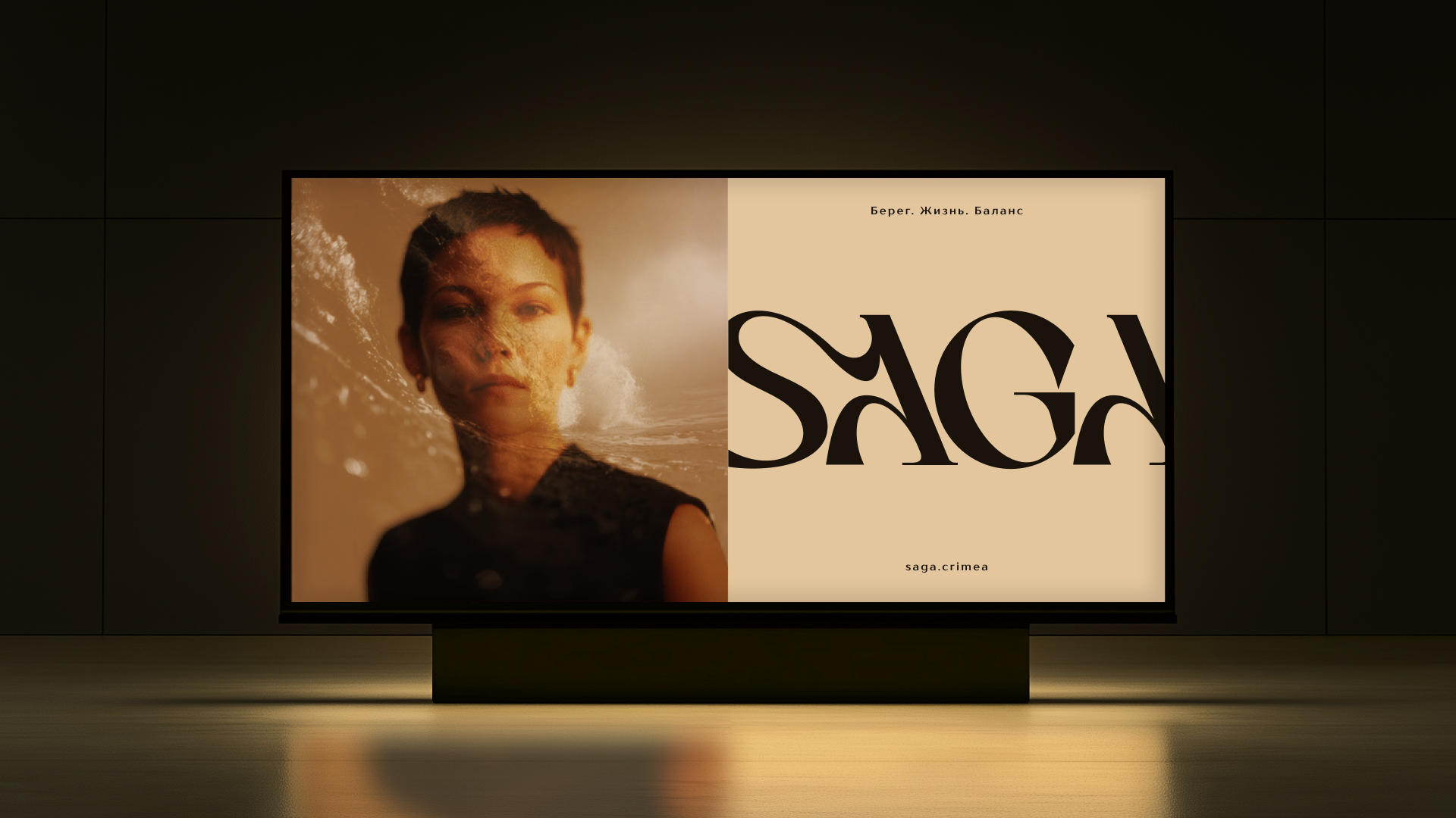 SAGA — Изображение №13 — Брендинг на Dprofile