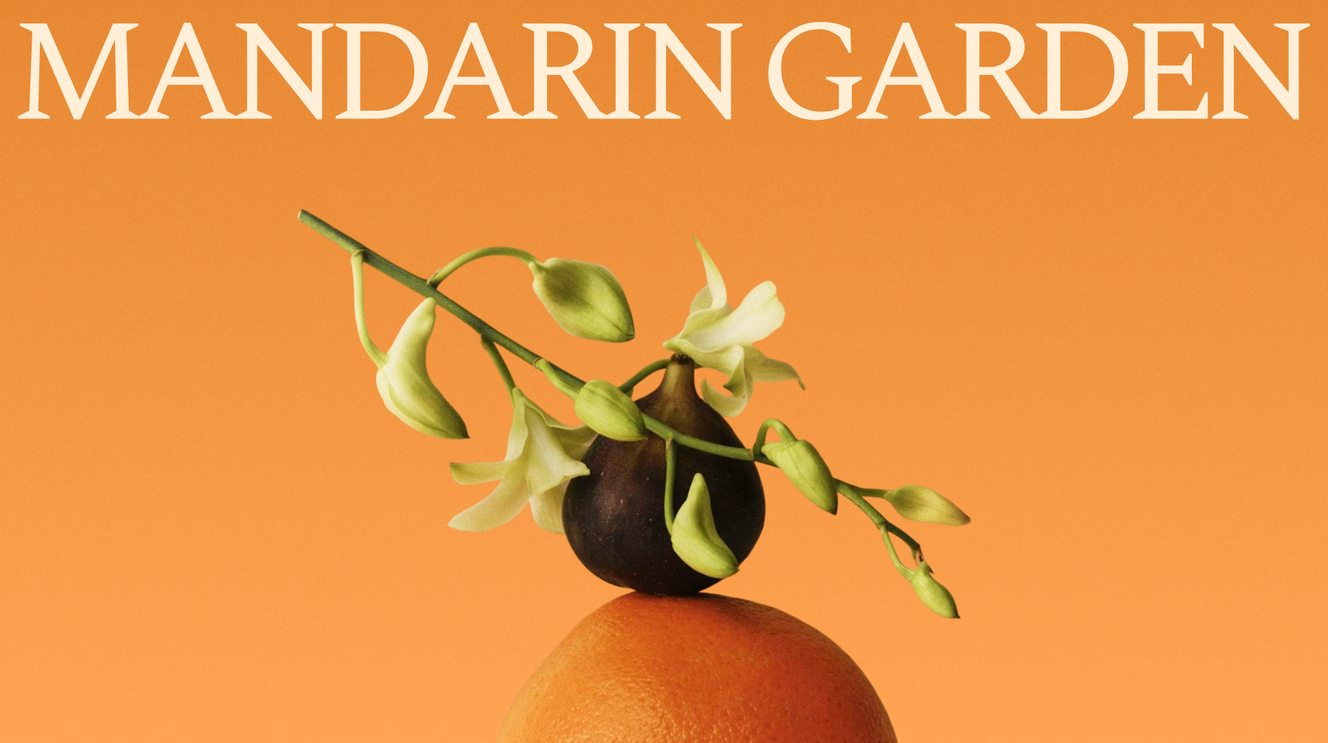 Mandarin Garden — Изображение №1 — Брендинг на Dprofile