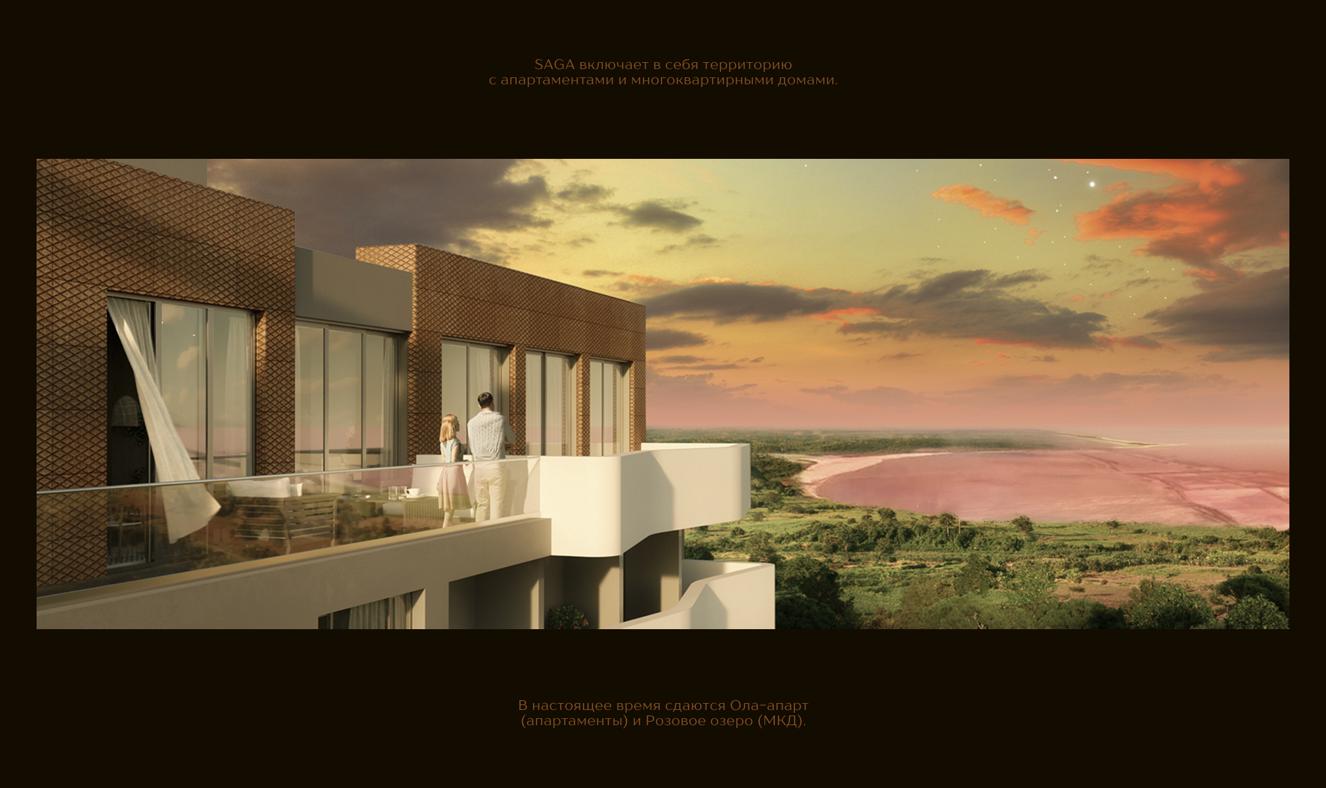 SAGA — Изображение №3 — Брендинг на Dprofile