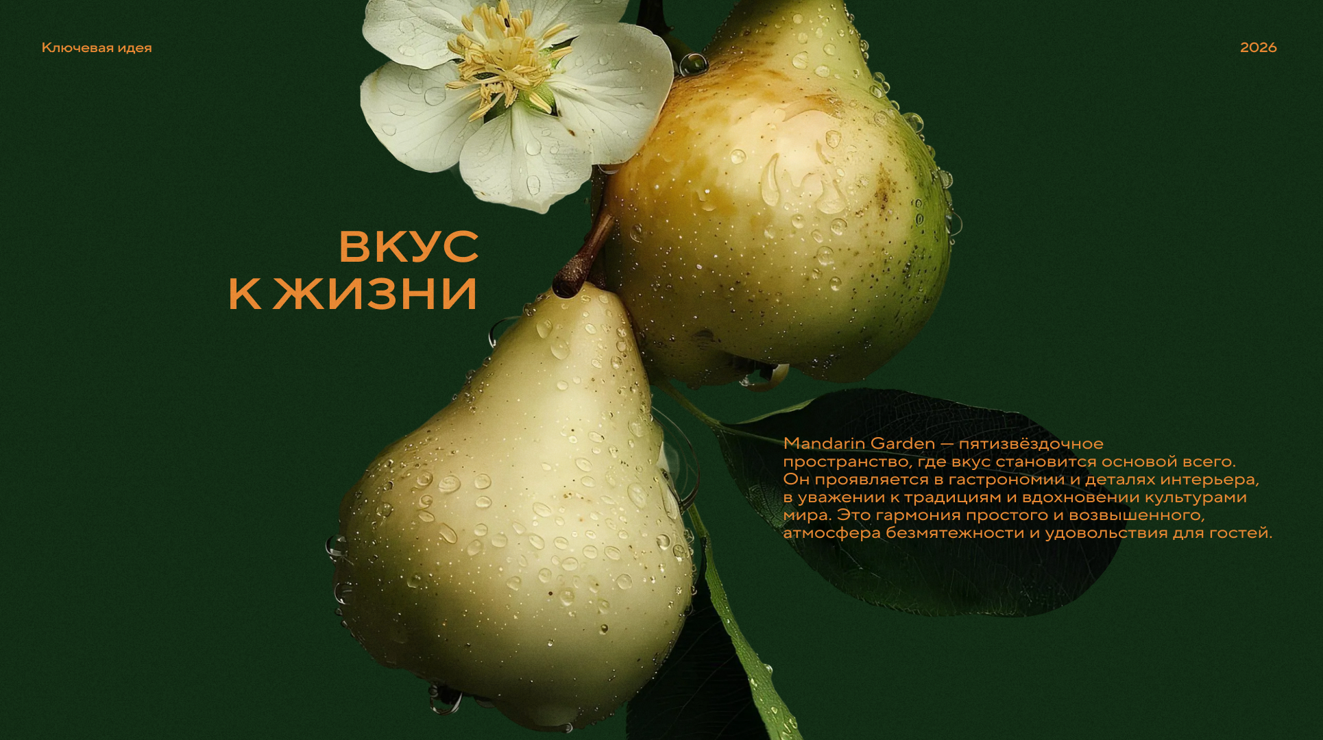 Mandarin Garden — Изображение №5 — Брендинг на Dprofile