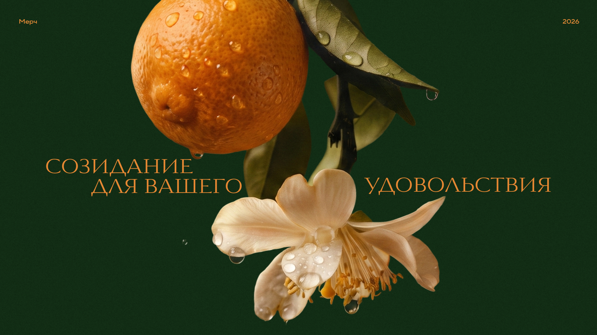 Mandarin Garden — Изображение №12 — Брендинг на Dprofile