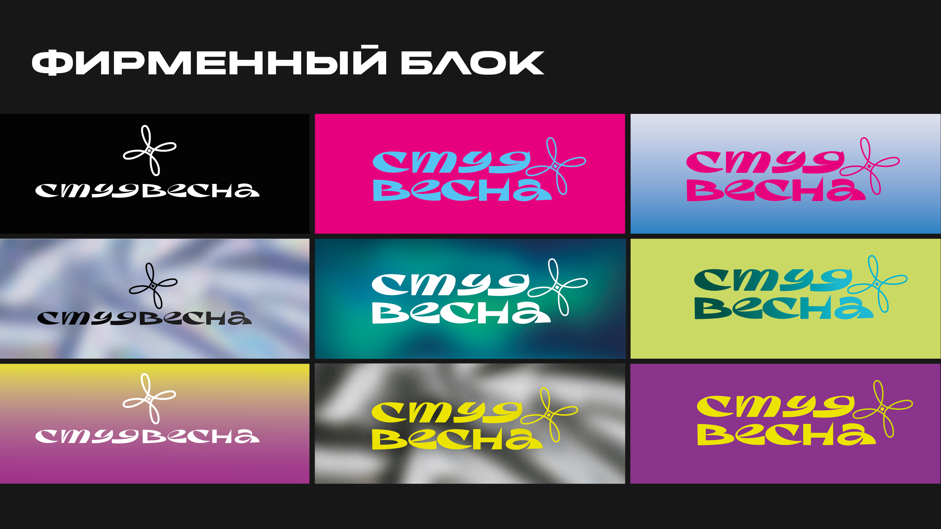 Фирменный стиль для СТУДВЕСНЫ 2027 в Республике Коми — Изображение №2 — Брендинг на Dprofile