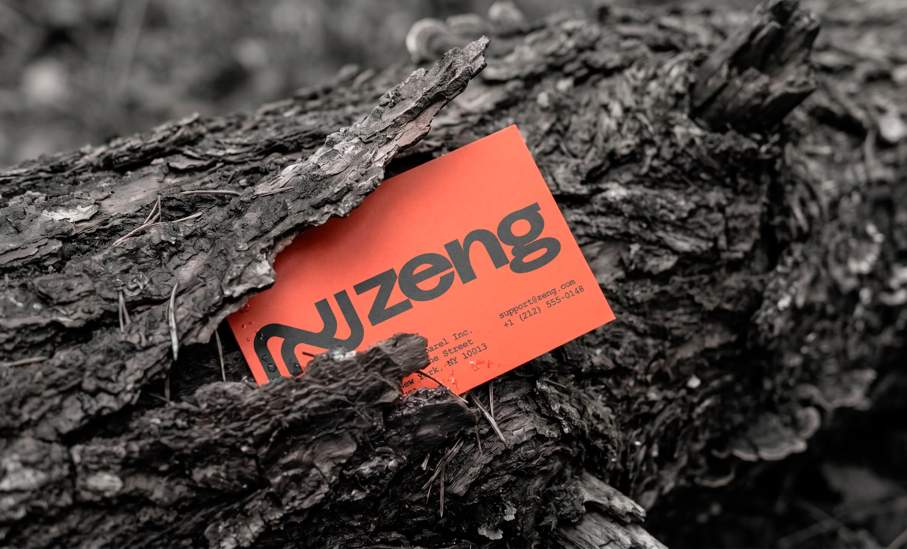 Zeng® — Изображение №14 — Брендинг на Dprofile