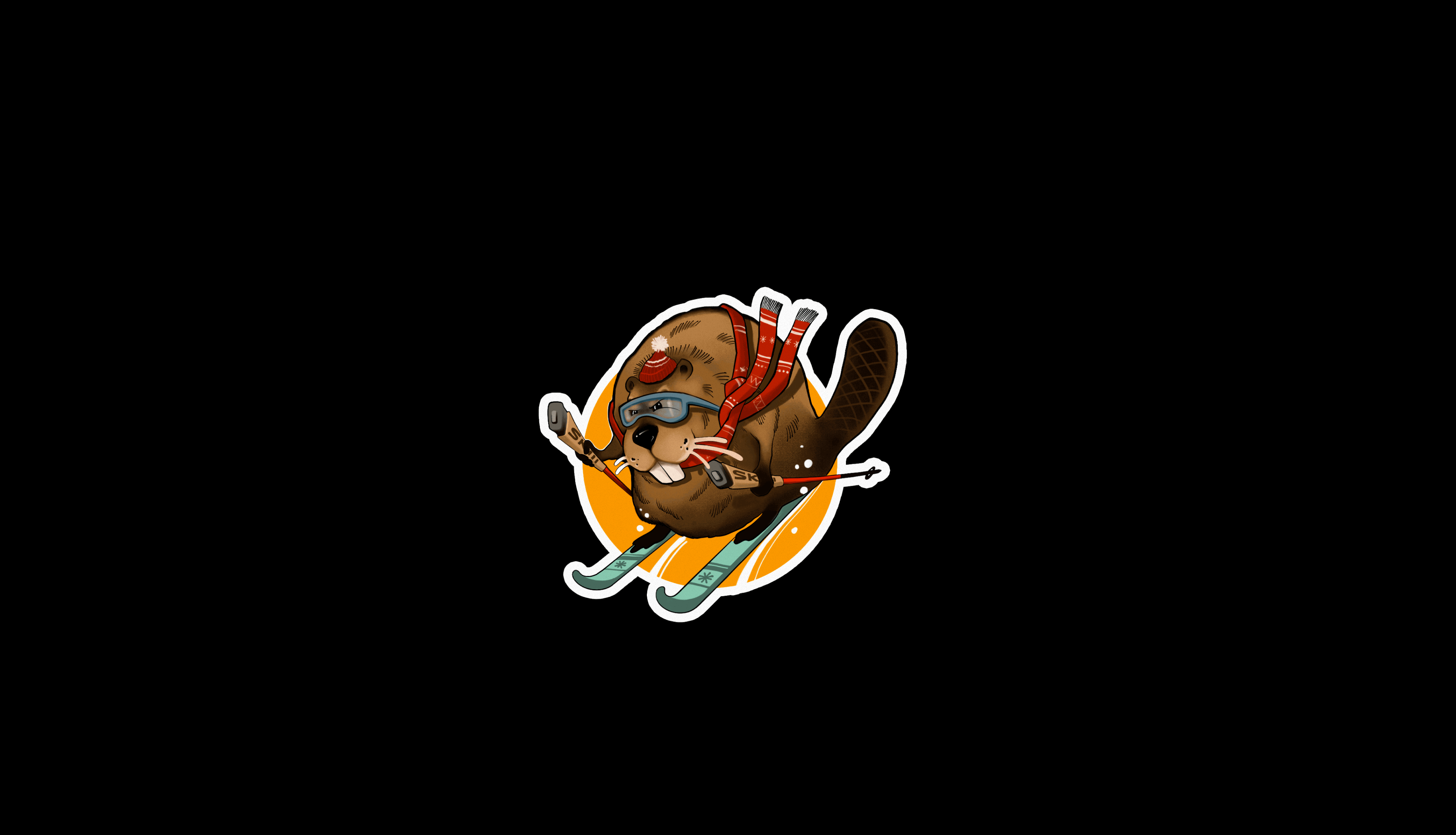 АЙДЕНТИКА SKILL / ЛЫЖНАЯ ЭКИПИРОВКА — Изображение №14 — Брендинг на Dprofile