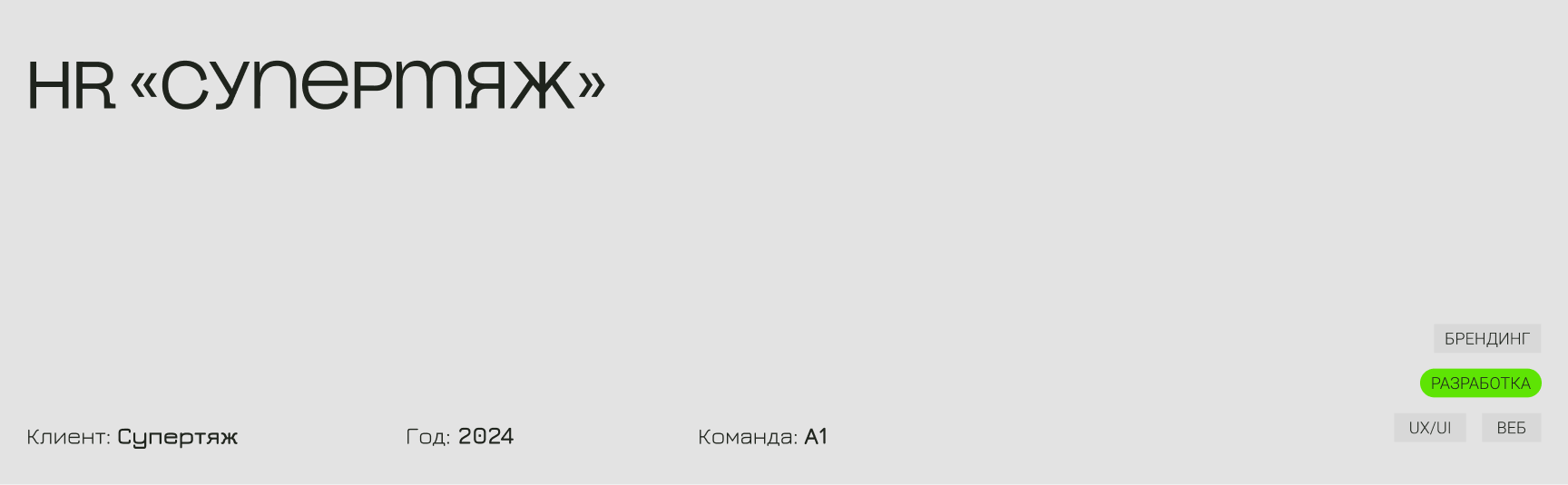 HR-сайт СУПЕРТЯЖ — Изображение №1 — Интерфейсы, Брендинг на Dprofile