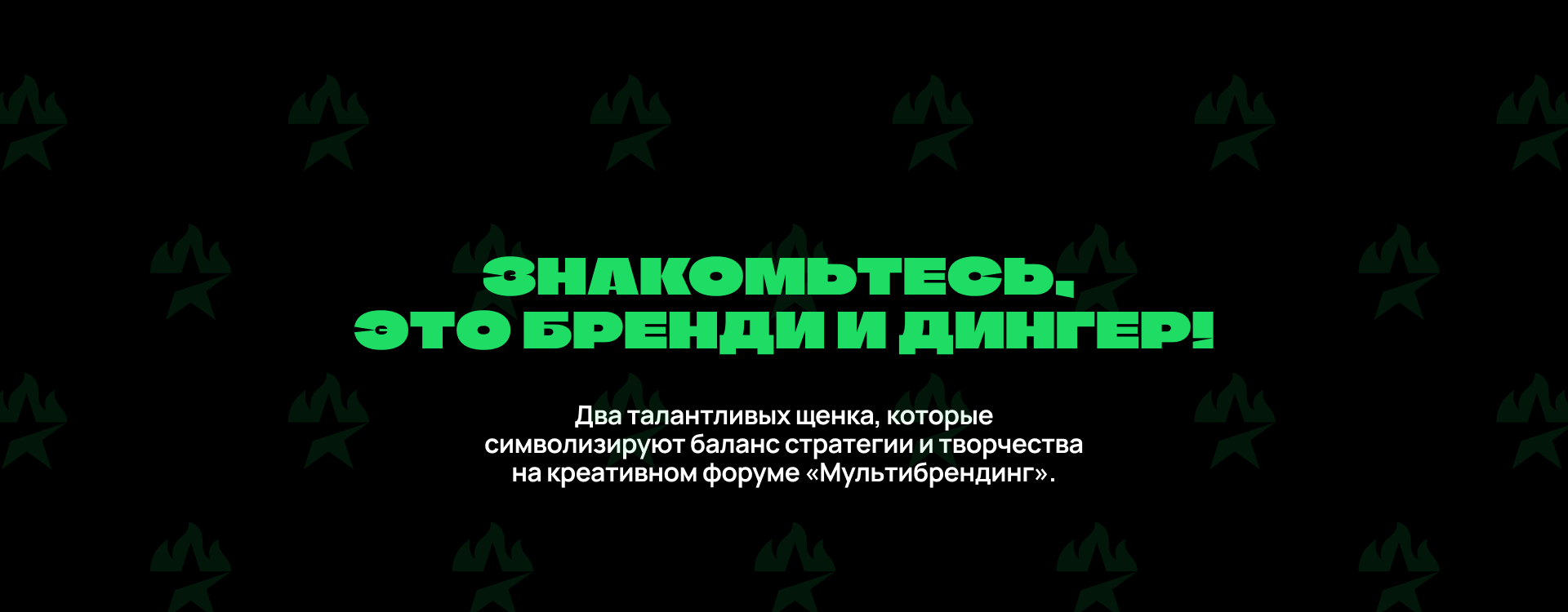 Маскоты МЛЬТБ. Бренди и Дингер — Изображение №1 — Брендинг на Dprofile