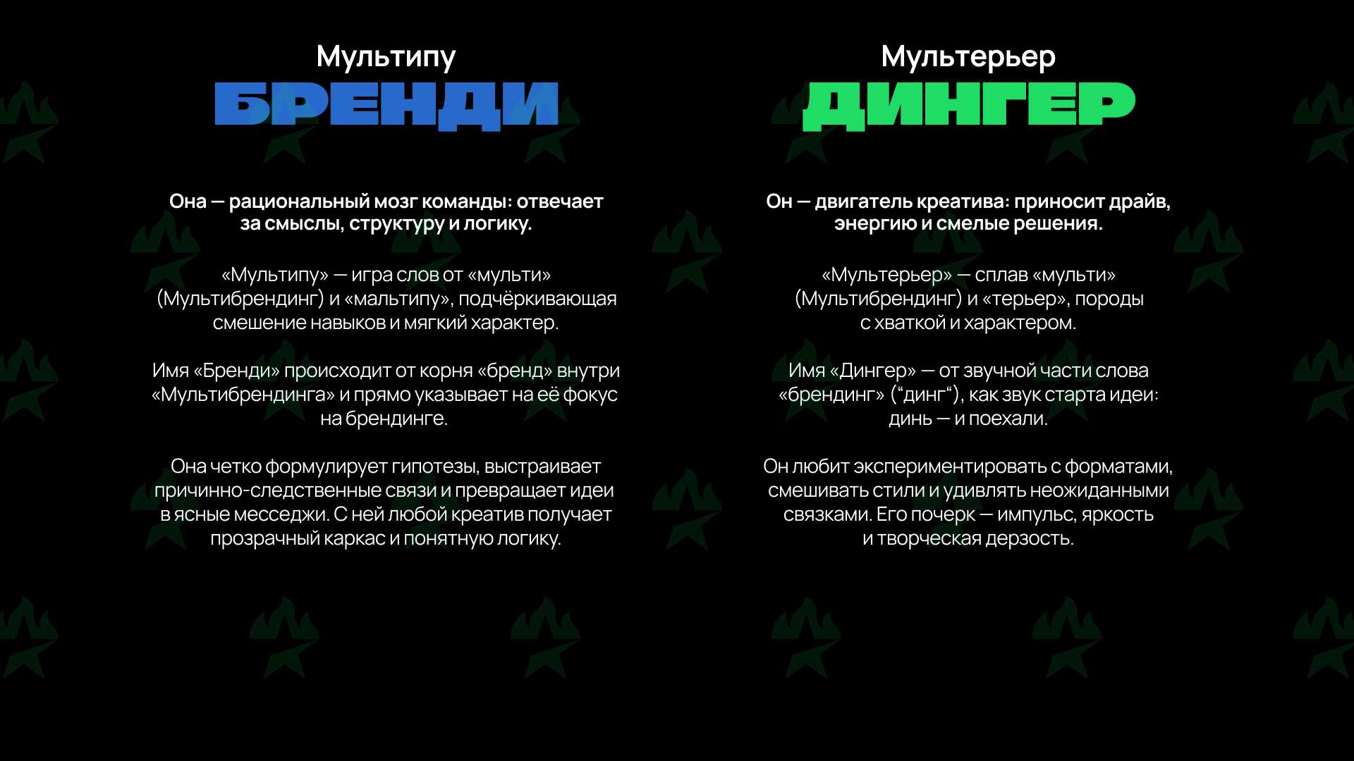 Маскоты МЛЬТБ. Бренди и Дингер — Изображение №2 — Брендинг на Dprofile