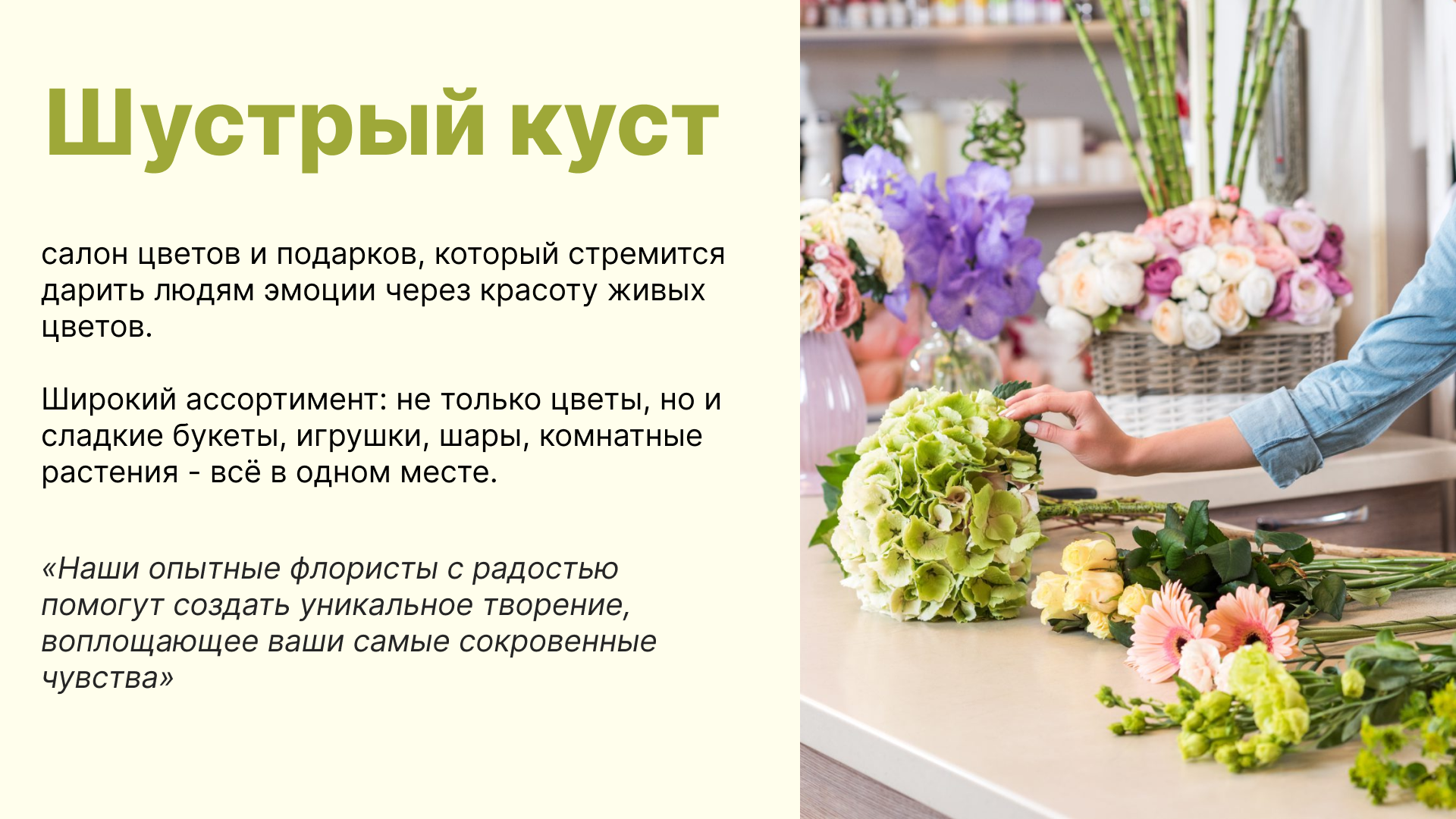 Создание фирменного стиля для салона цветов «Шустрый куст» — Изображение №4 — Брендинг на Dprofile