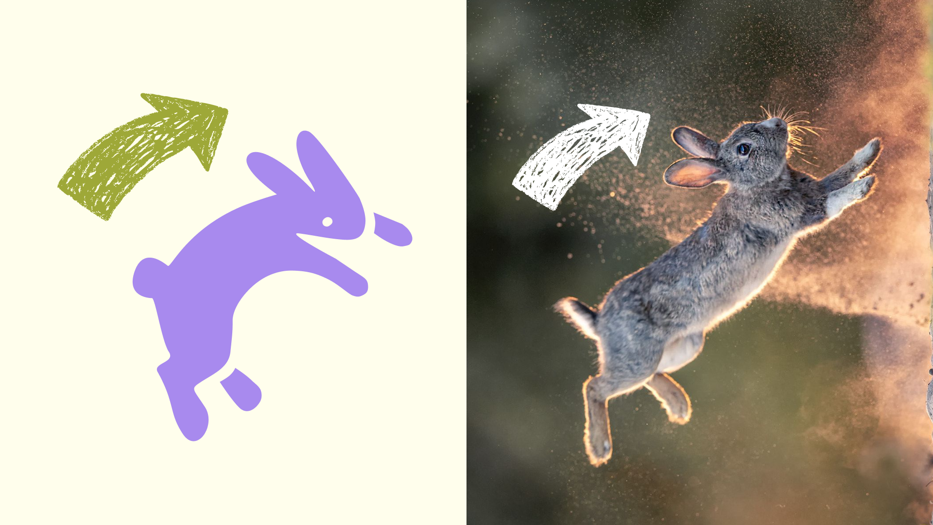 Создание фирменного стиля для салона цветов «Шустрый куст» — Изображение №7 — Брендинг на Dprofile