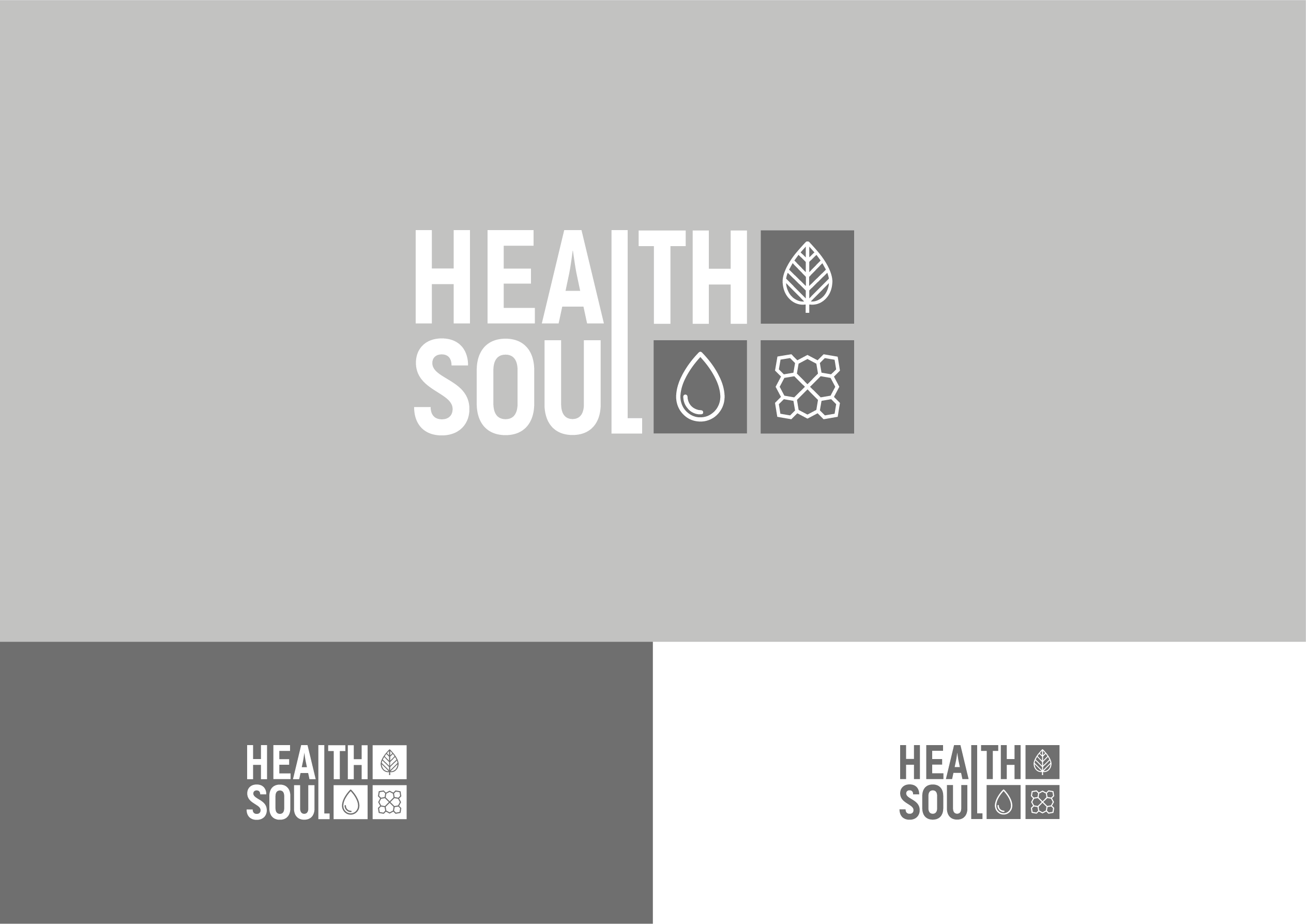 Упаковка для HEALTH SOUL — Изображение №2 — Интерфейсы, Брендинг на Dprofile