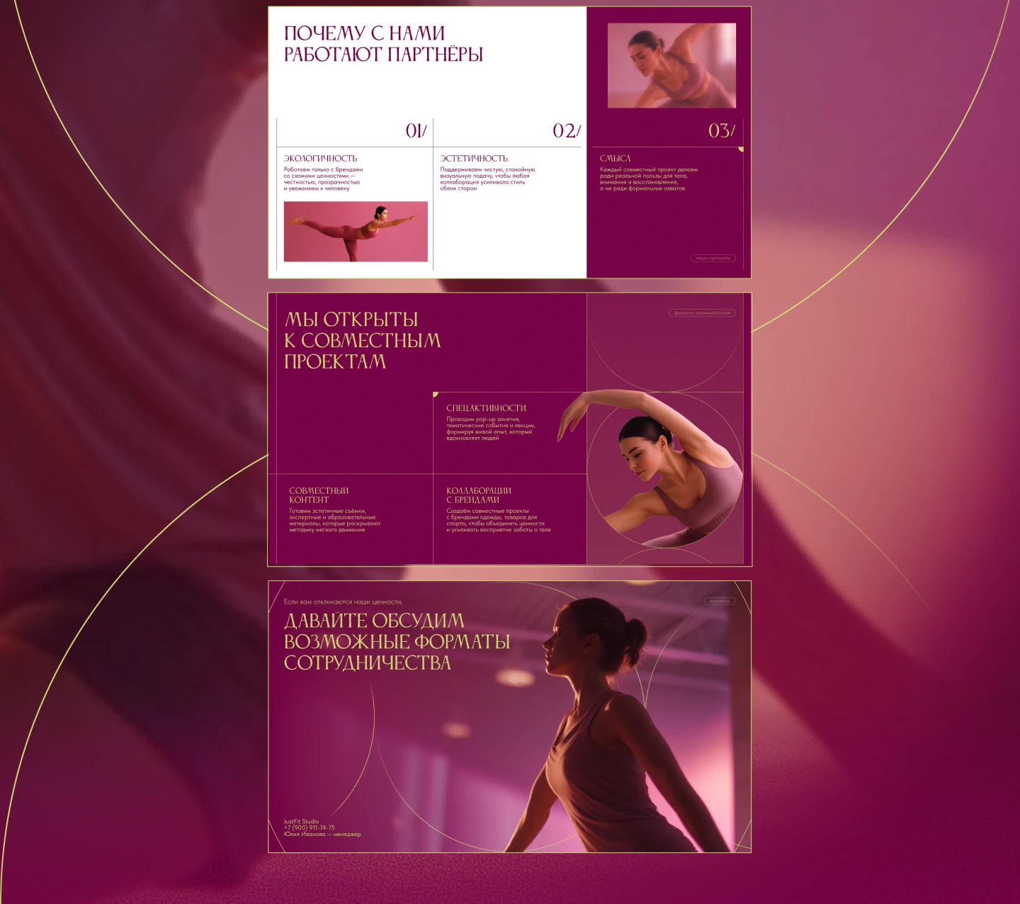 Презентация | коммерческое предложение | студия растяжки — Изображение №10 — Маркетинг на Dprofile