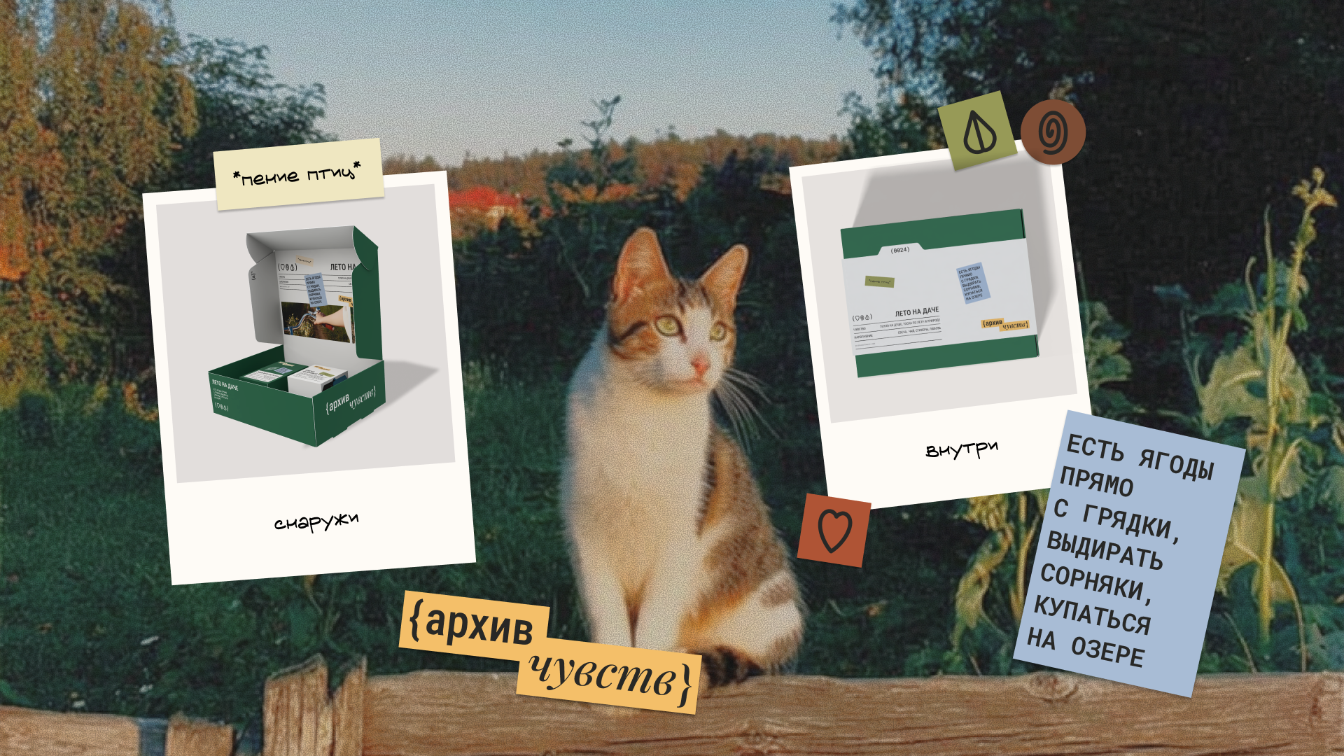 Архив чувств — Изображение №4 — Брендинг на Dprofile