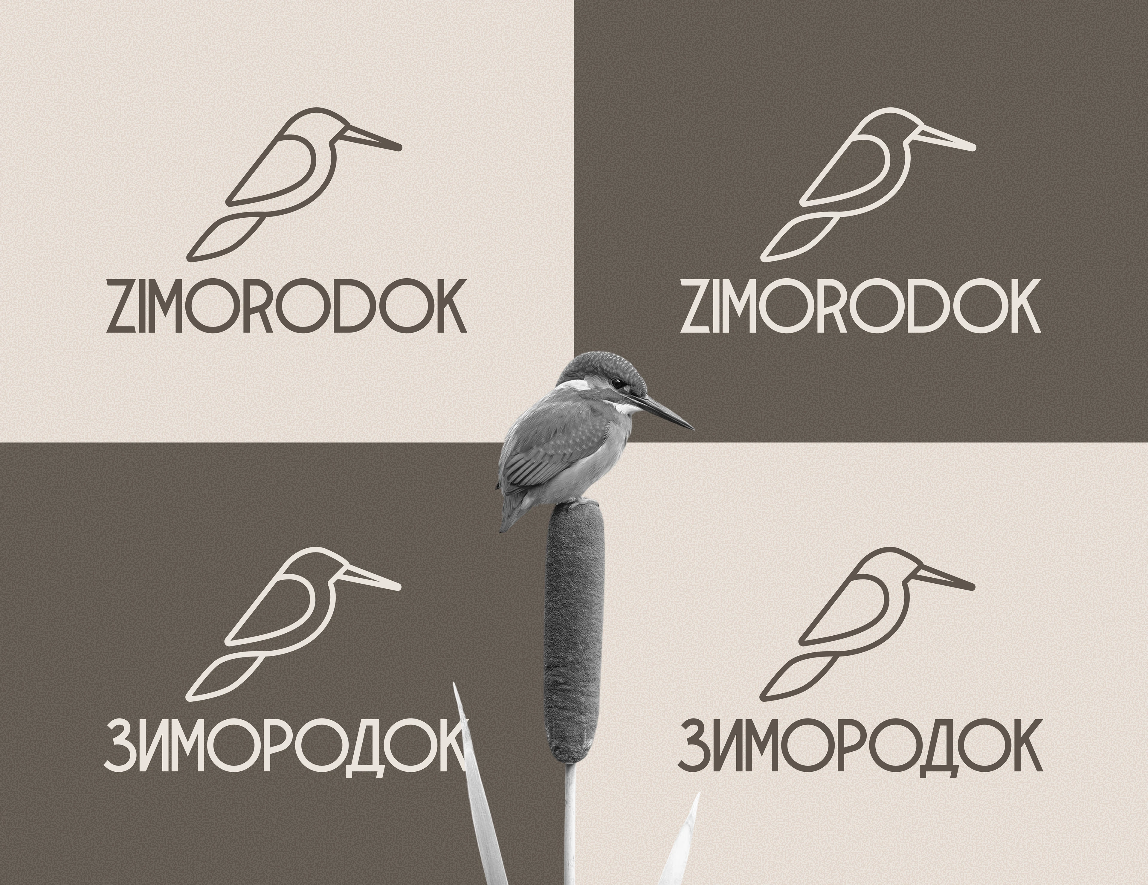 ZIMORODOK | logo design | branding — Изображение №5 — Брендинг на Dprofile
