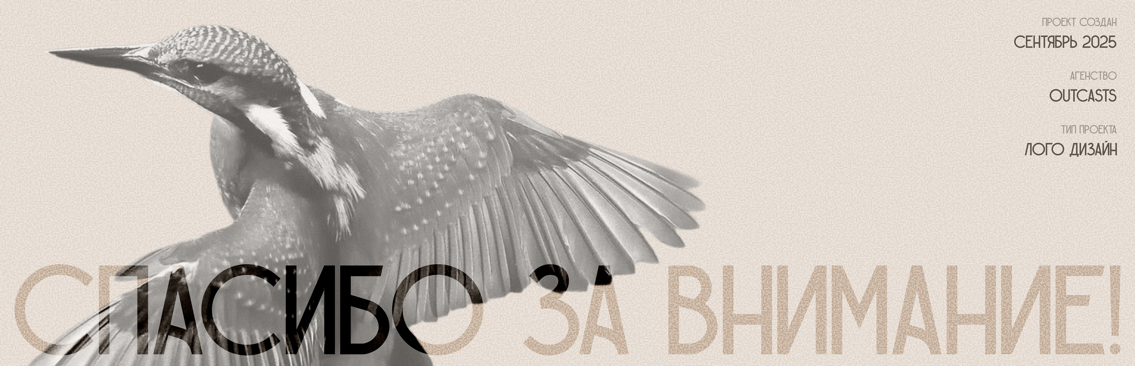 ZIMORODOK | logo design | branding — Изображение №10 — Брендинг на Dprofile