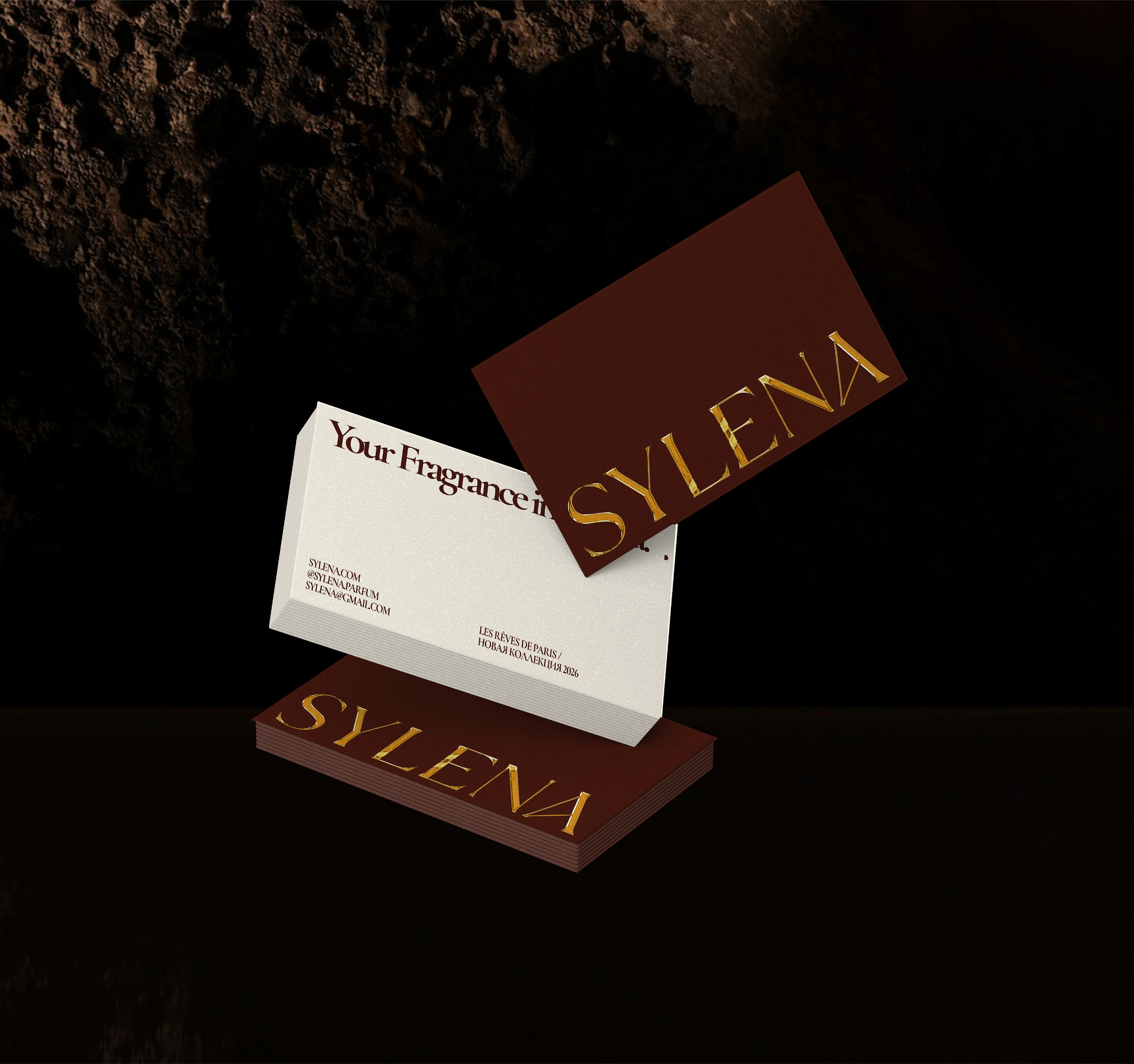 Sylena Branding — Изображение №10 — Брендинг на Dprofile