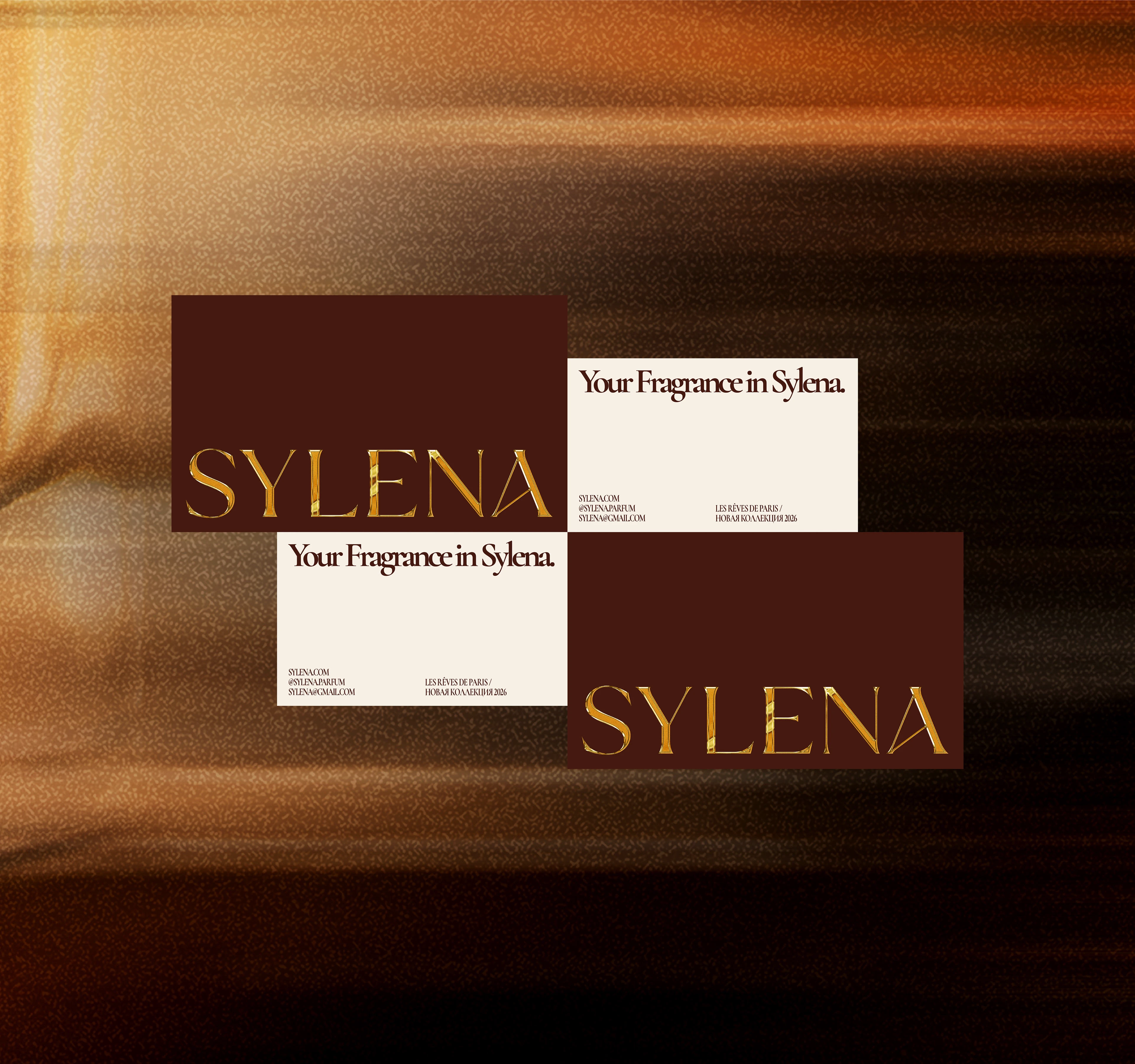 Sylena Branding — Изображение №11 — Брендинг на Dprofile