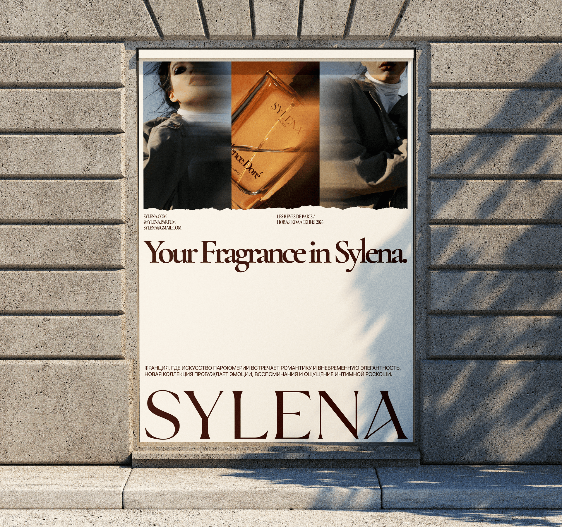 Sylena Branding — Изображение №6 — Брендинг на Dprofile