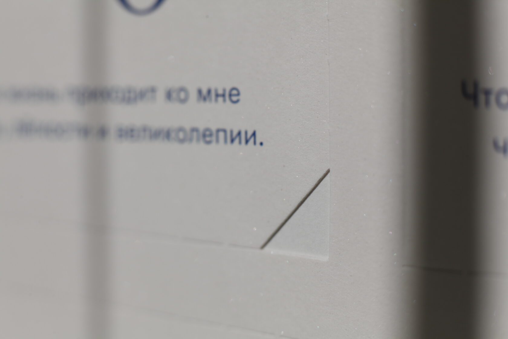 Календарь желаний — Изображение №6 — Брендинг, Графика на Dprofile